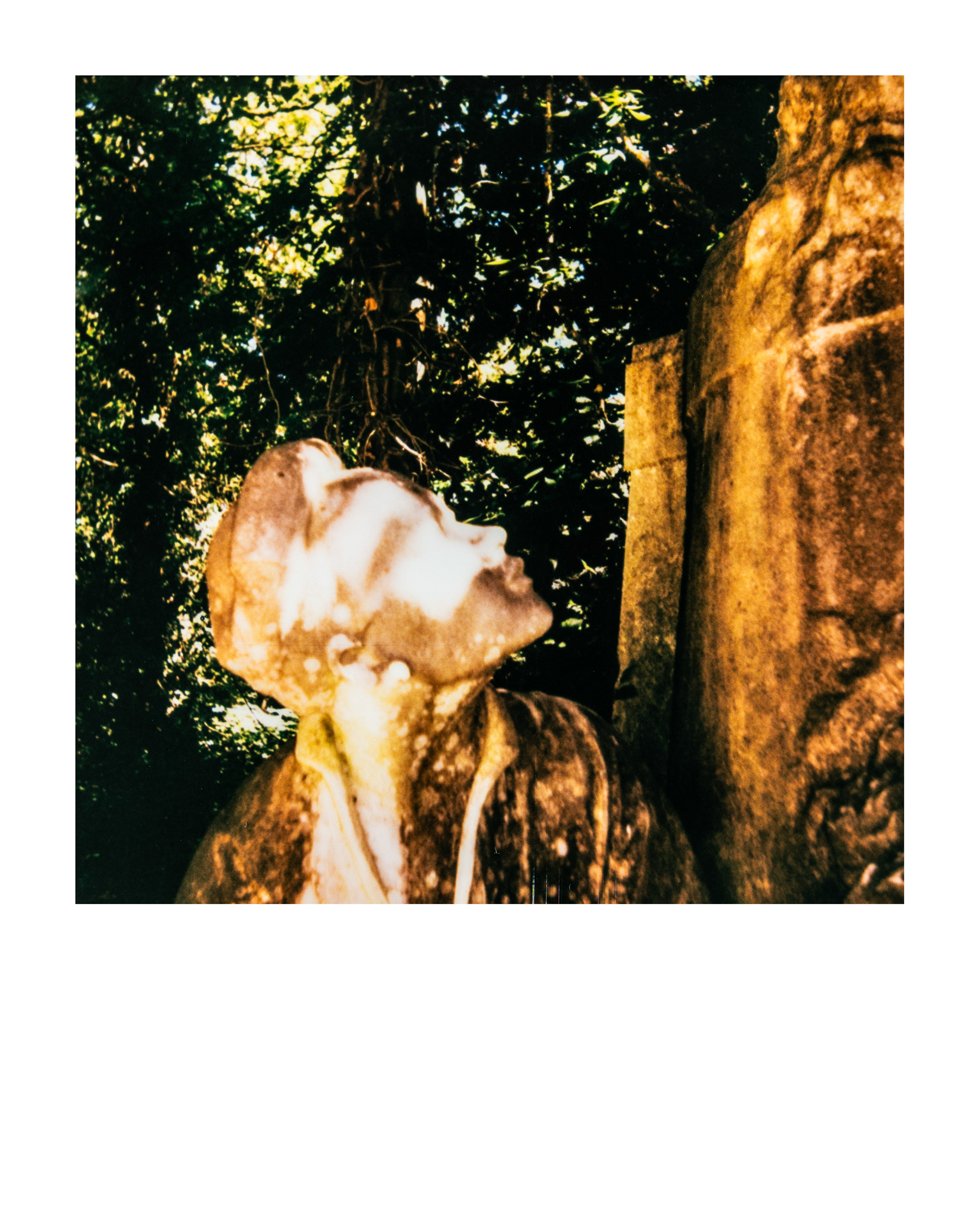 Fragments du monument "A la gloire de l'expansion coloniale", Jardin d'agronomie tropicale René Dumont, Paris, Ile-de-France, France, 2026 (Polaroid)