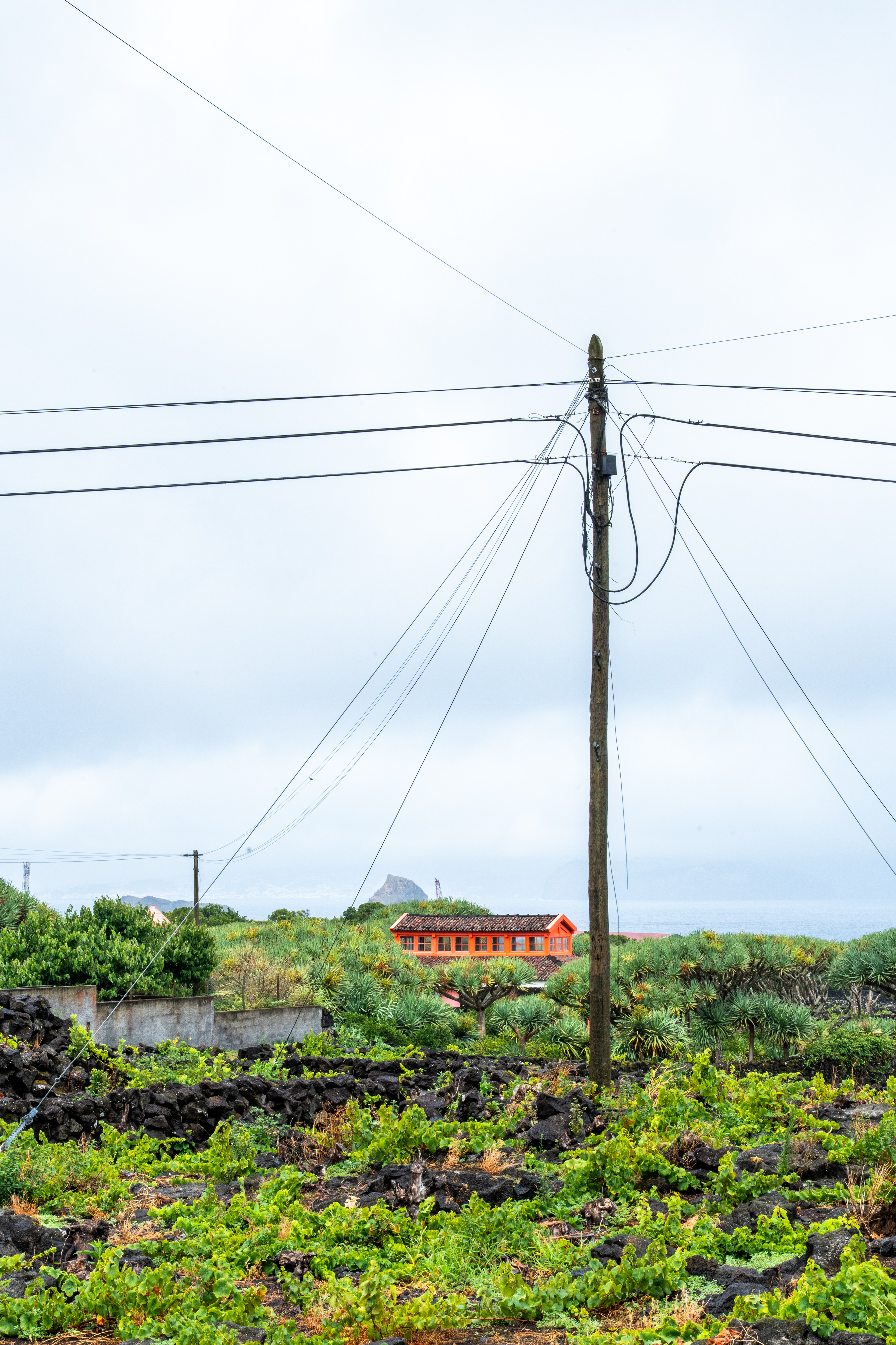 Madalena, 9940, Pico, Azores, Portugal, 2025 (Numérique)