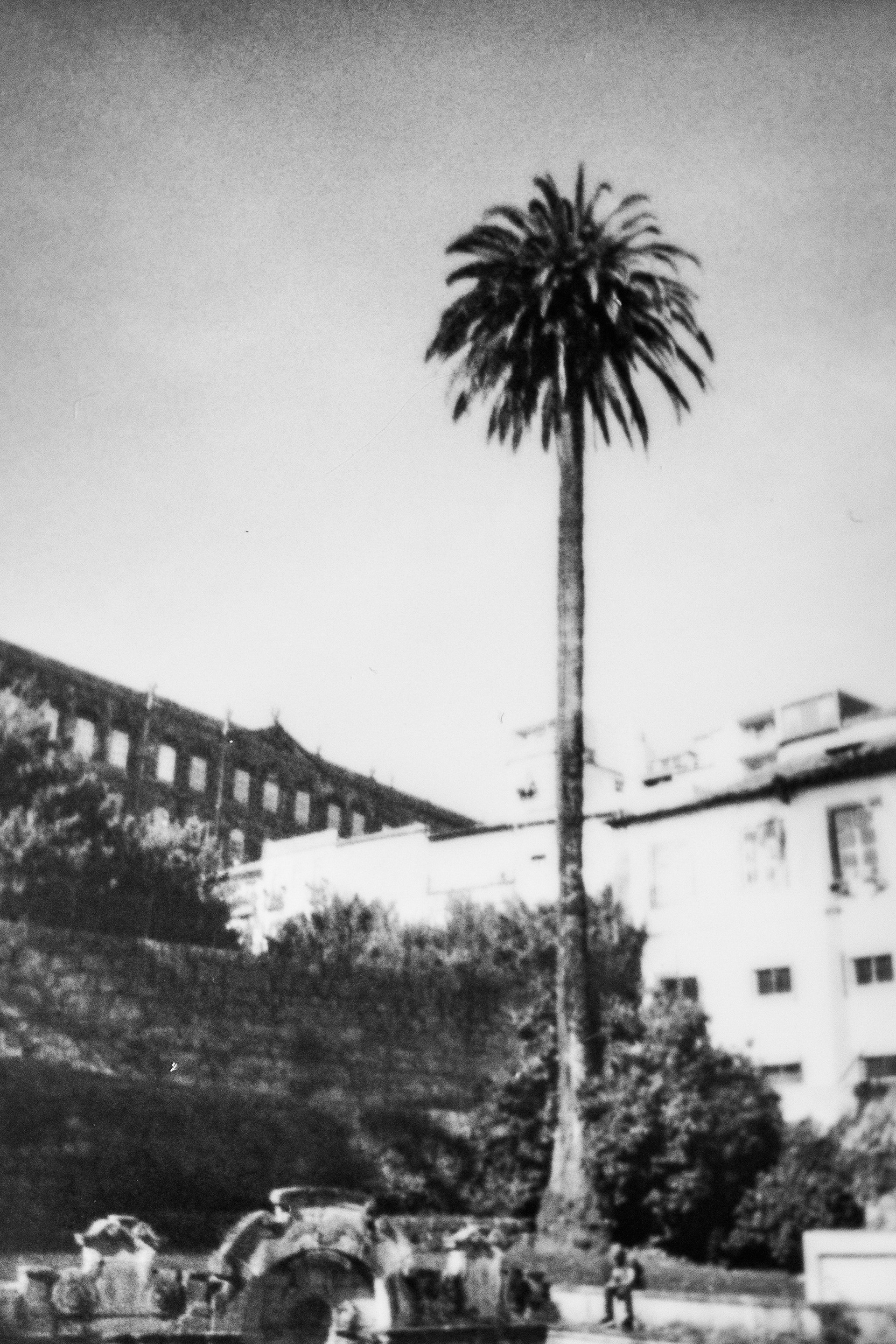 Parque das Vitruves, 4000, Porto, Nord, Portugal, 2026 (Polaroid)