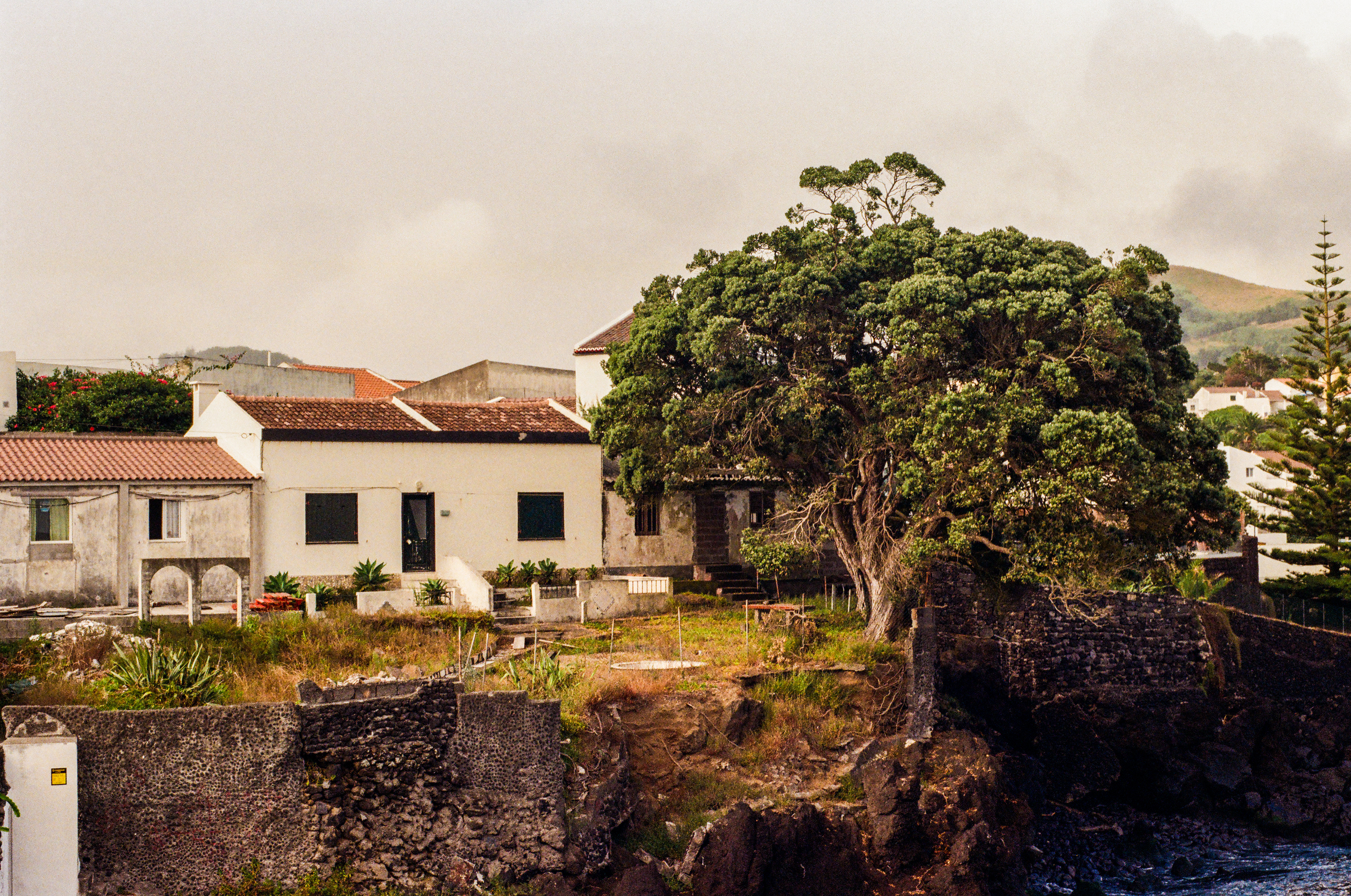 São Miguel, Azores, Portugal, 2025