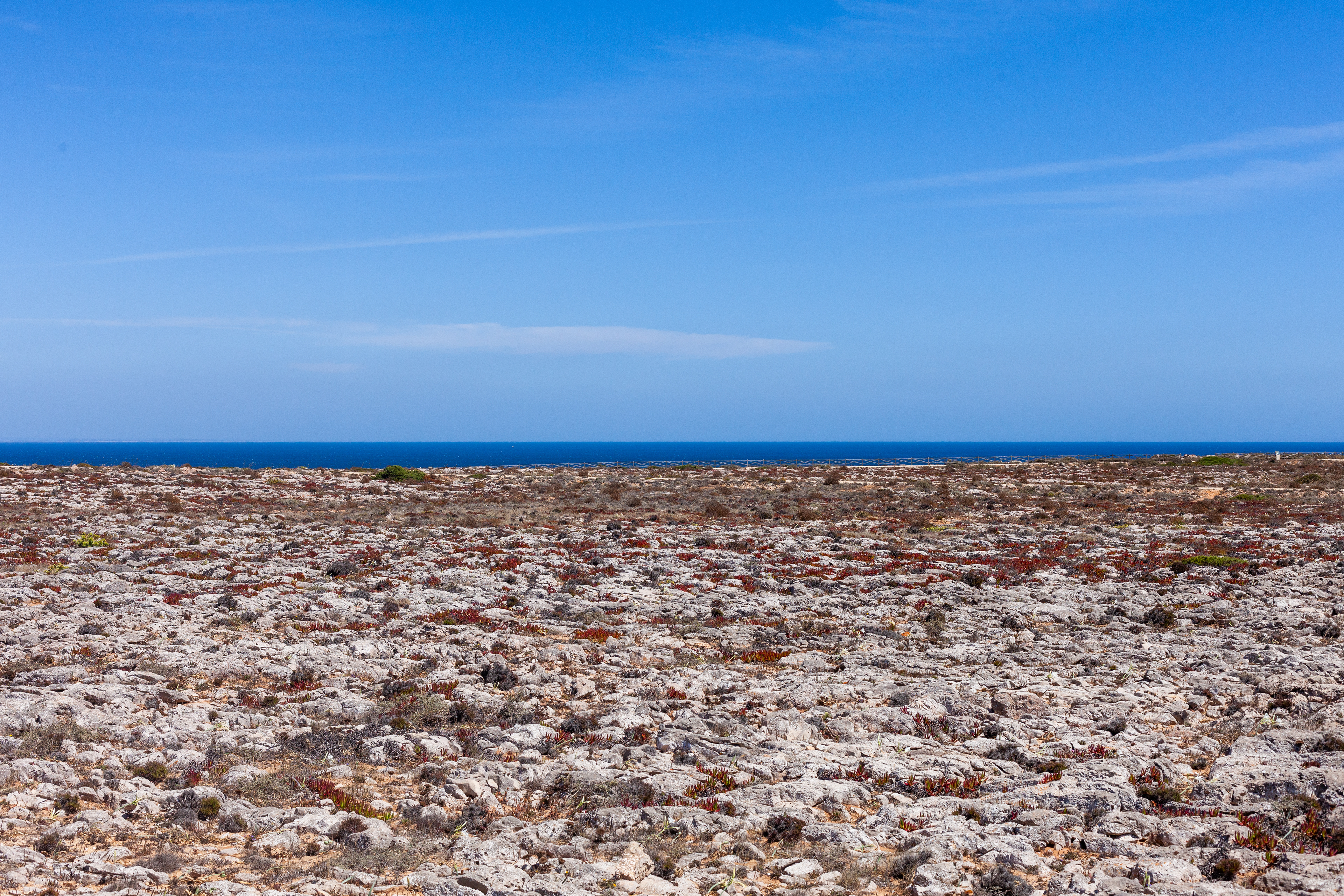 8950, Sagres, Algarve, Portugal, 2024 (Numérique)