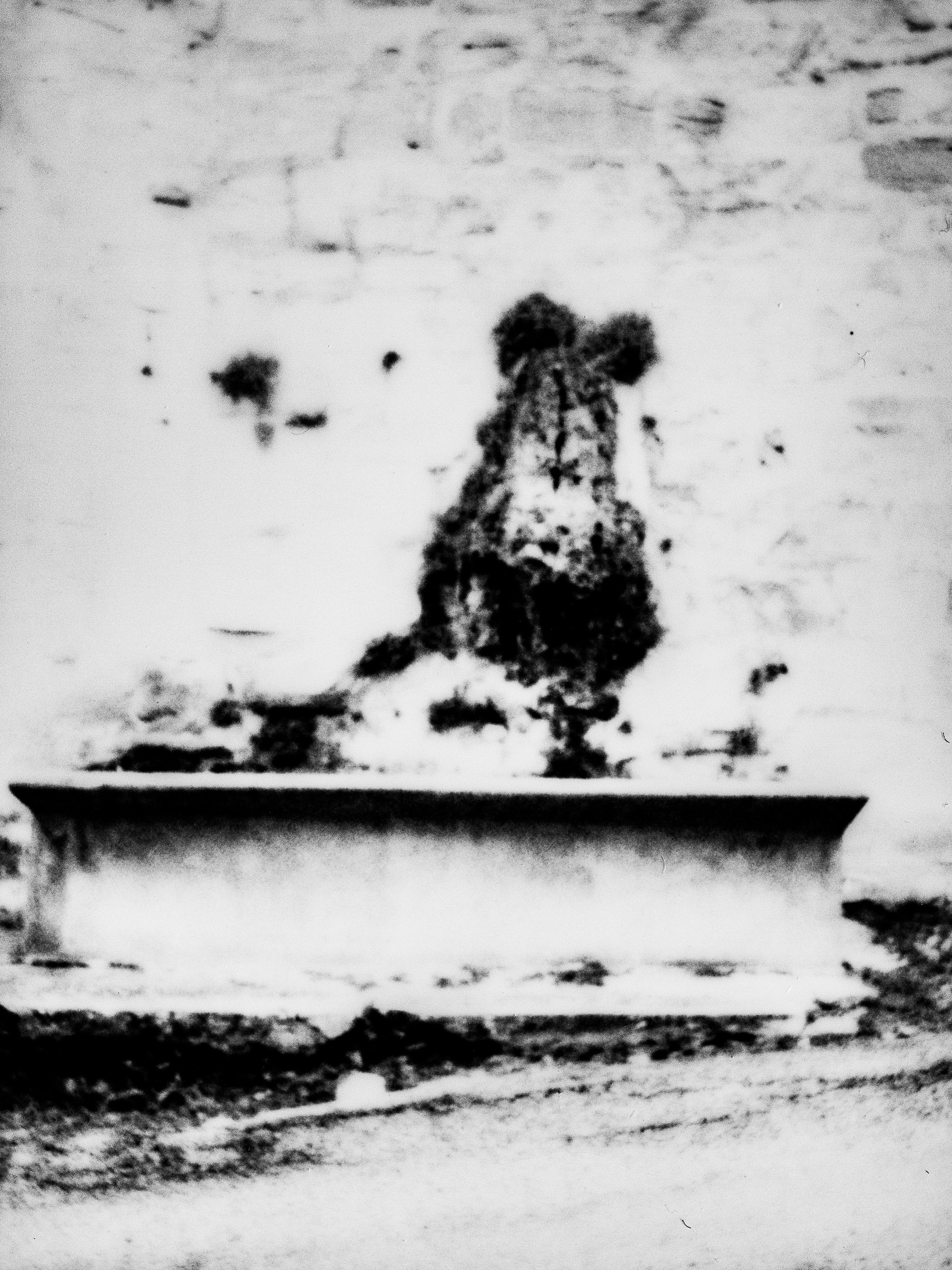 Fontaine, 38160, Saint Antoine l'Abbaye, Isère, Auvergne-Rhône-Alpes, France, 2026 (Polaroid)