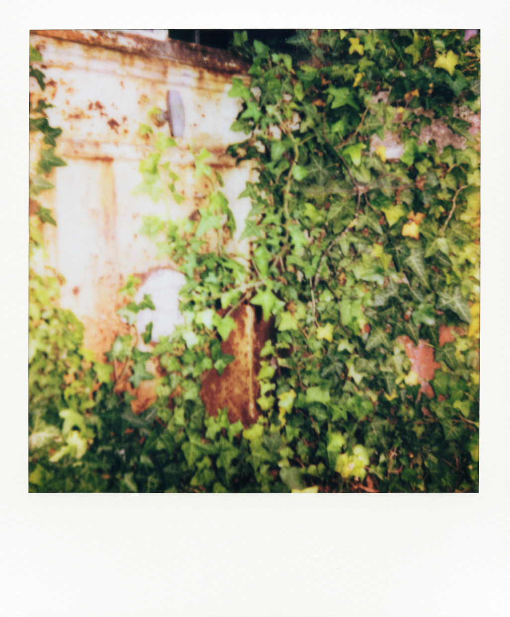 Série "Serres froides", 2026 (Polaroid)