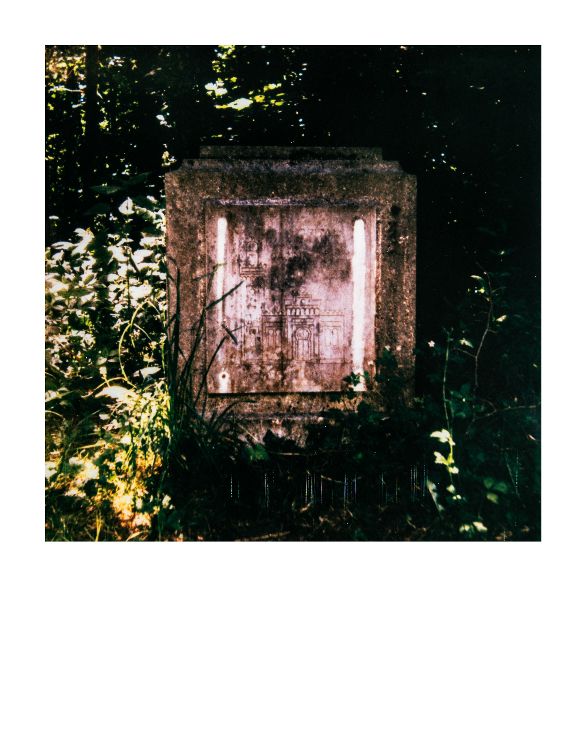 Jardin d'agronomie tropicale René Dumont, Paris, Ile-de-France, France, 2026 (Polaroid)
