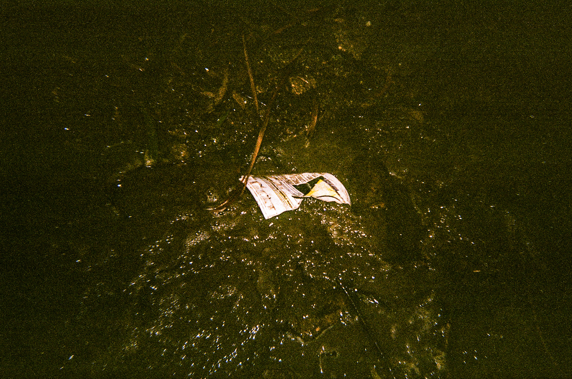 Serra de Negrelos, Vila Nova de Gaia, Nord, Portugal, 2025