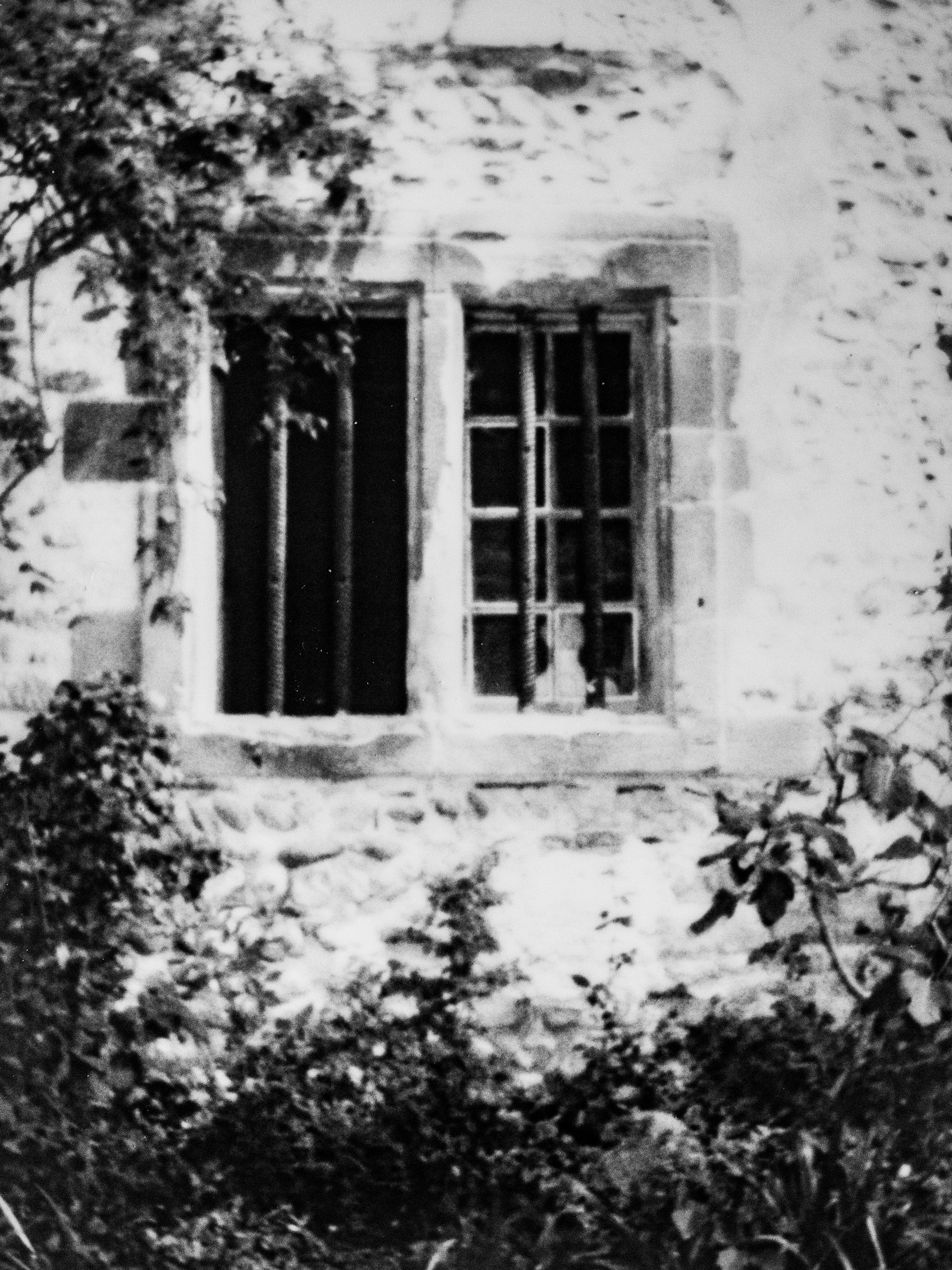 38160, Saint Antoine l'Abbaye, Isère, Auvergne-Rhône-Alpes, France, 2026 (Polaroid)