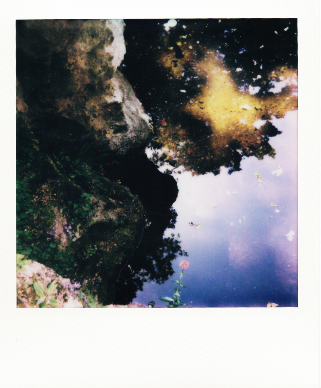 Série "Persistance", Musée départemental Albert-Kahn, 2026 (Polaroid)