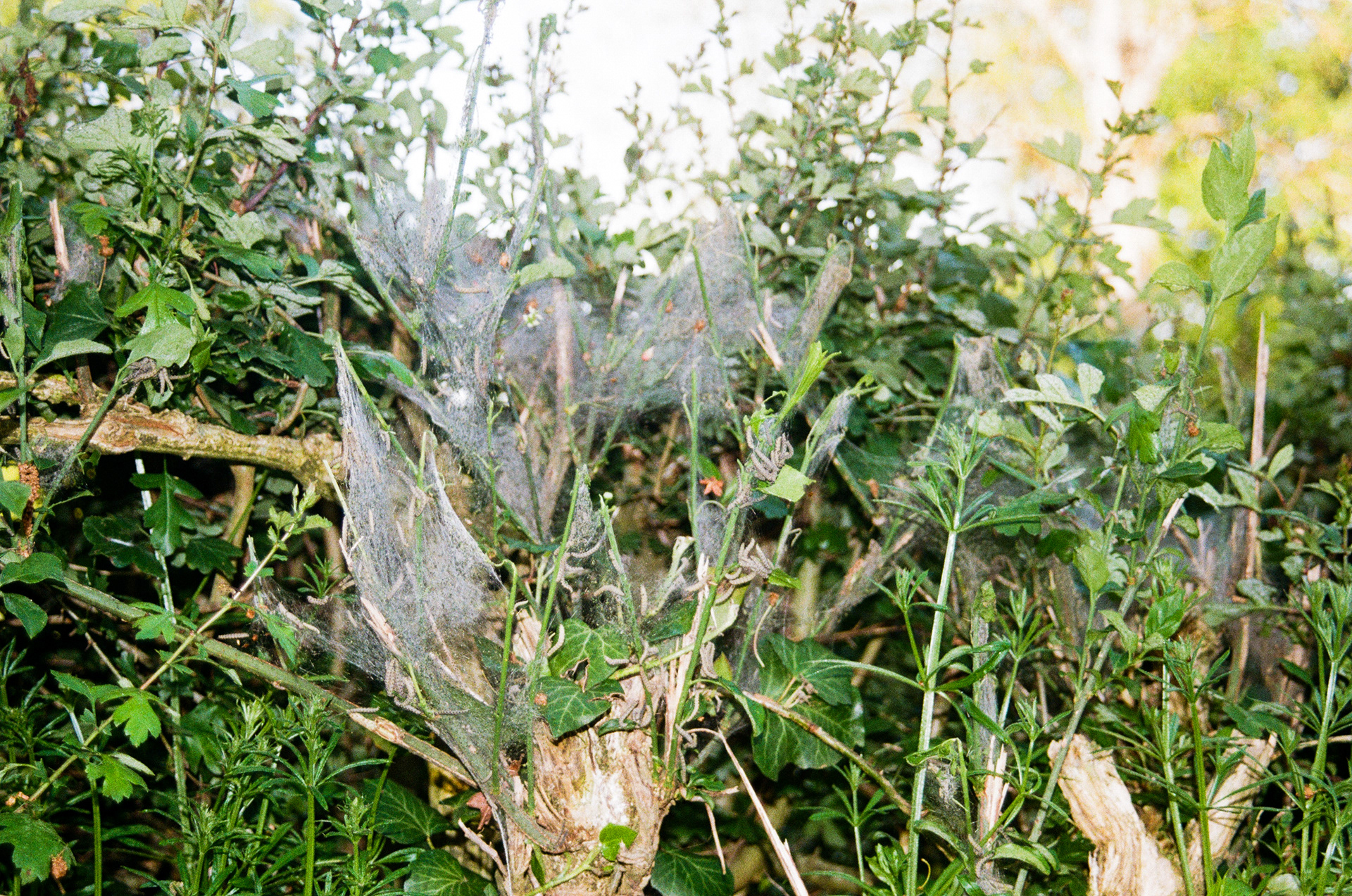 Boussac, Creuse, France