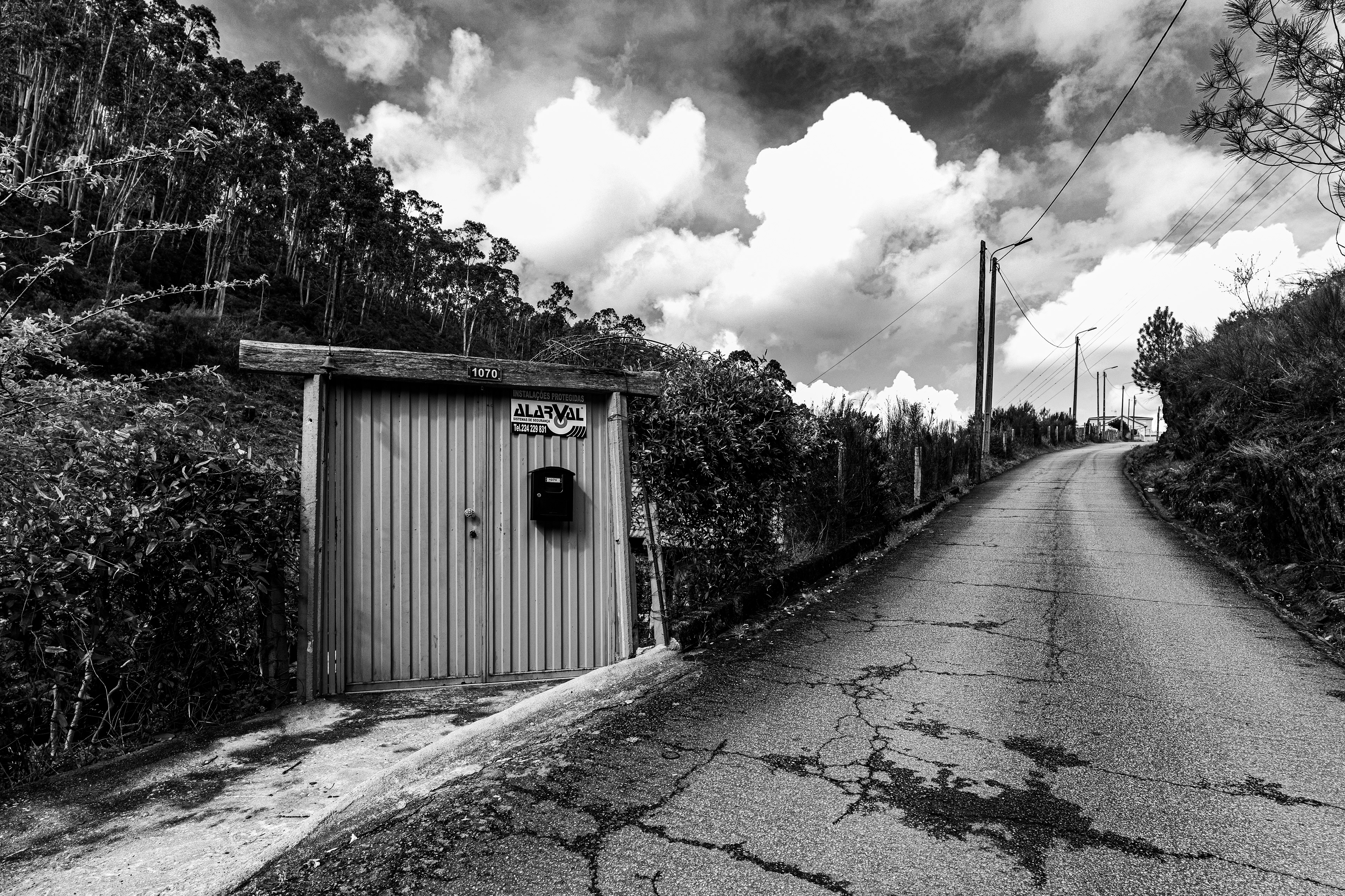 Valongo, Nord, Portugal, 2025