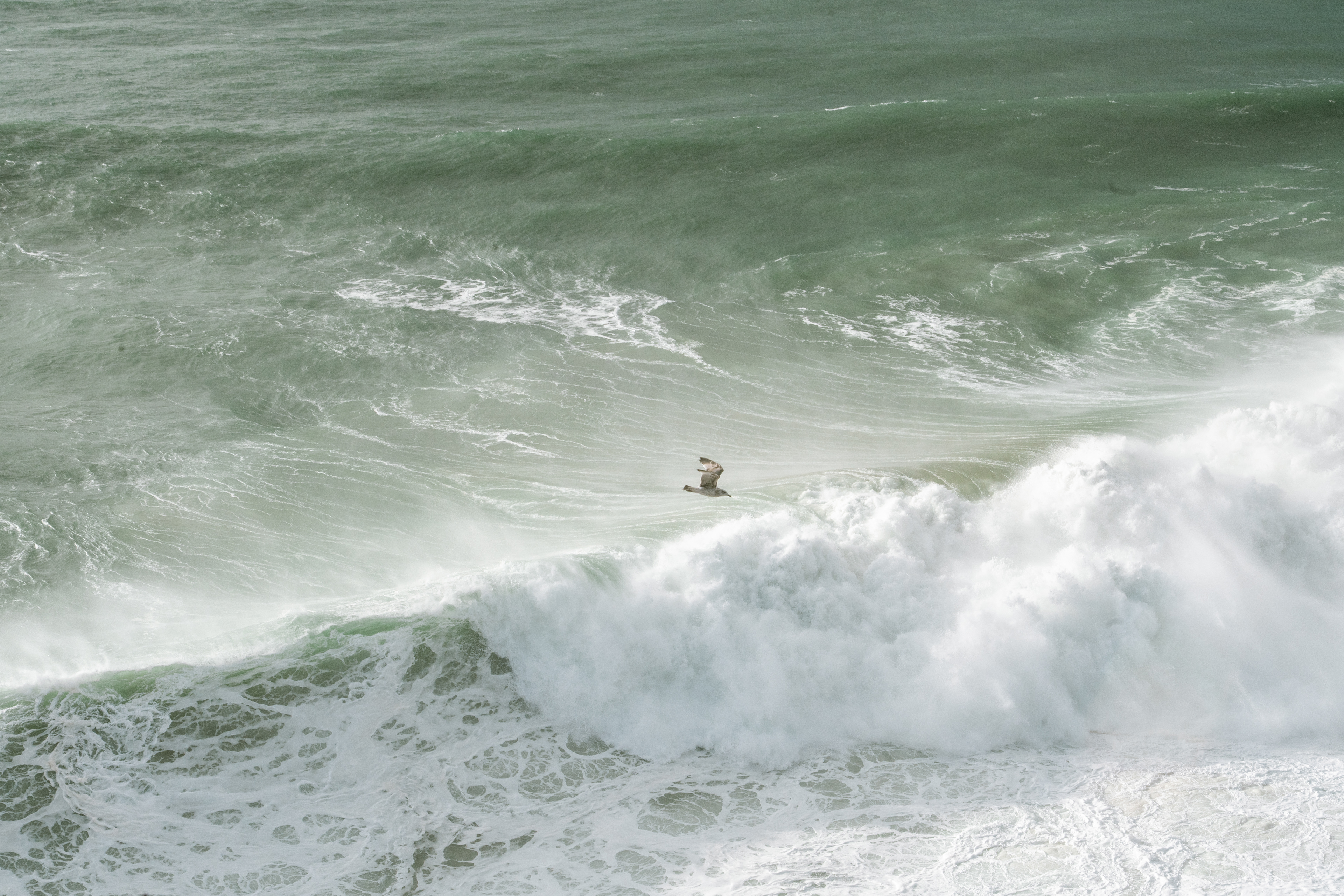 Nazaré, Ouest, Portugal, 2026