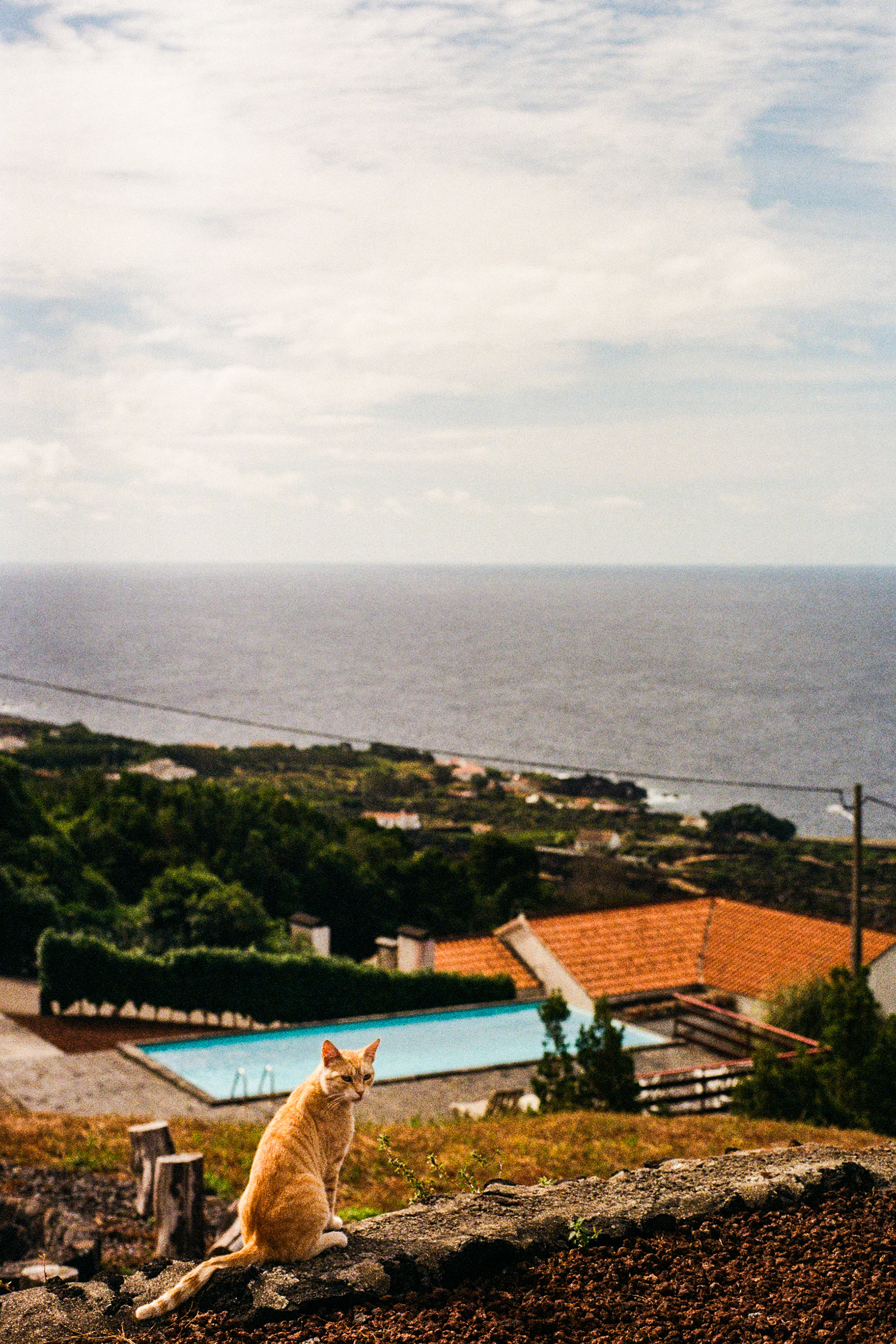 Pico, Azores, Portugal, 2025