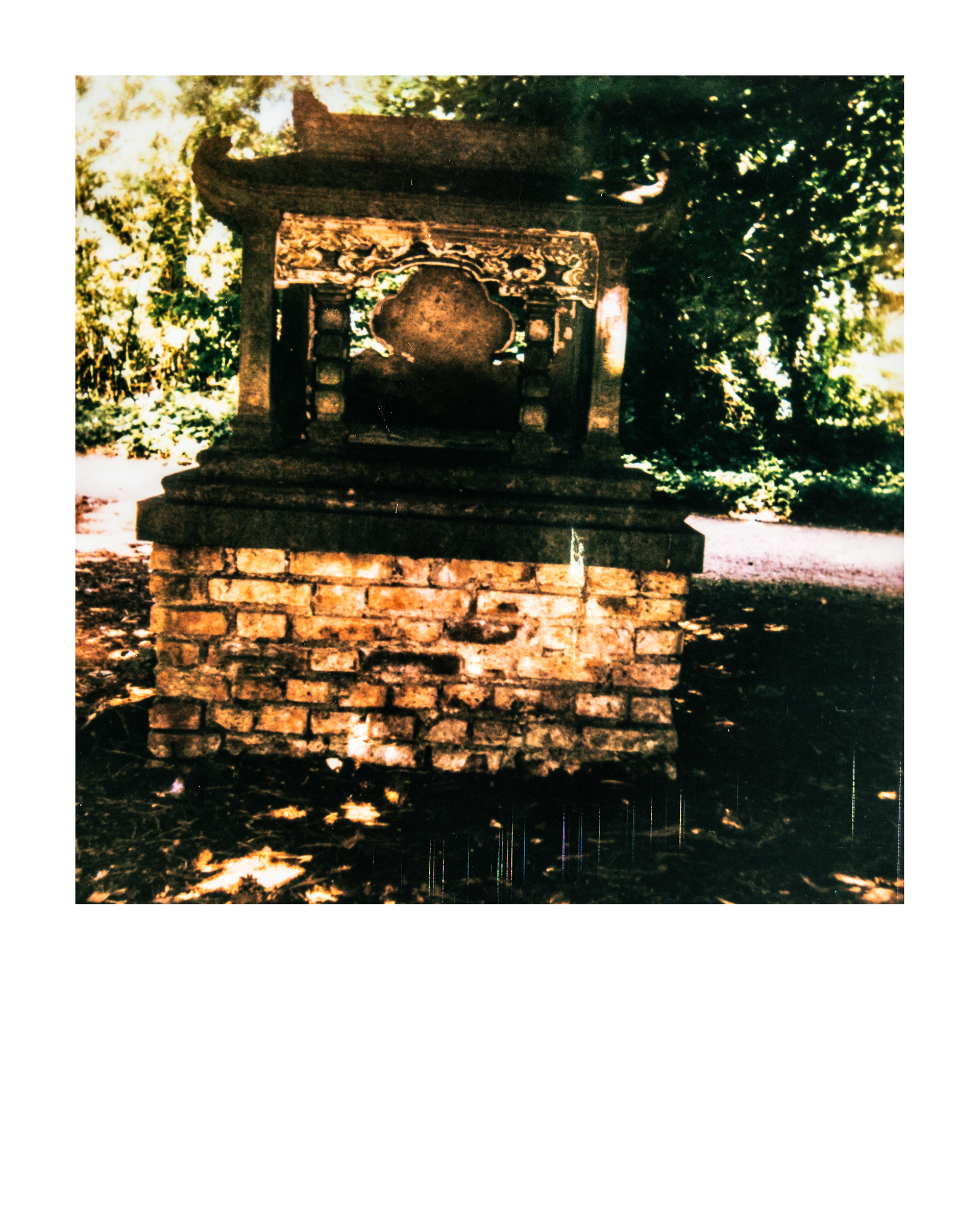 Jardin d'agronomie tropicale René Dumont, Paris, Ile-de-France, France, 2026 (Polaroid)