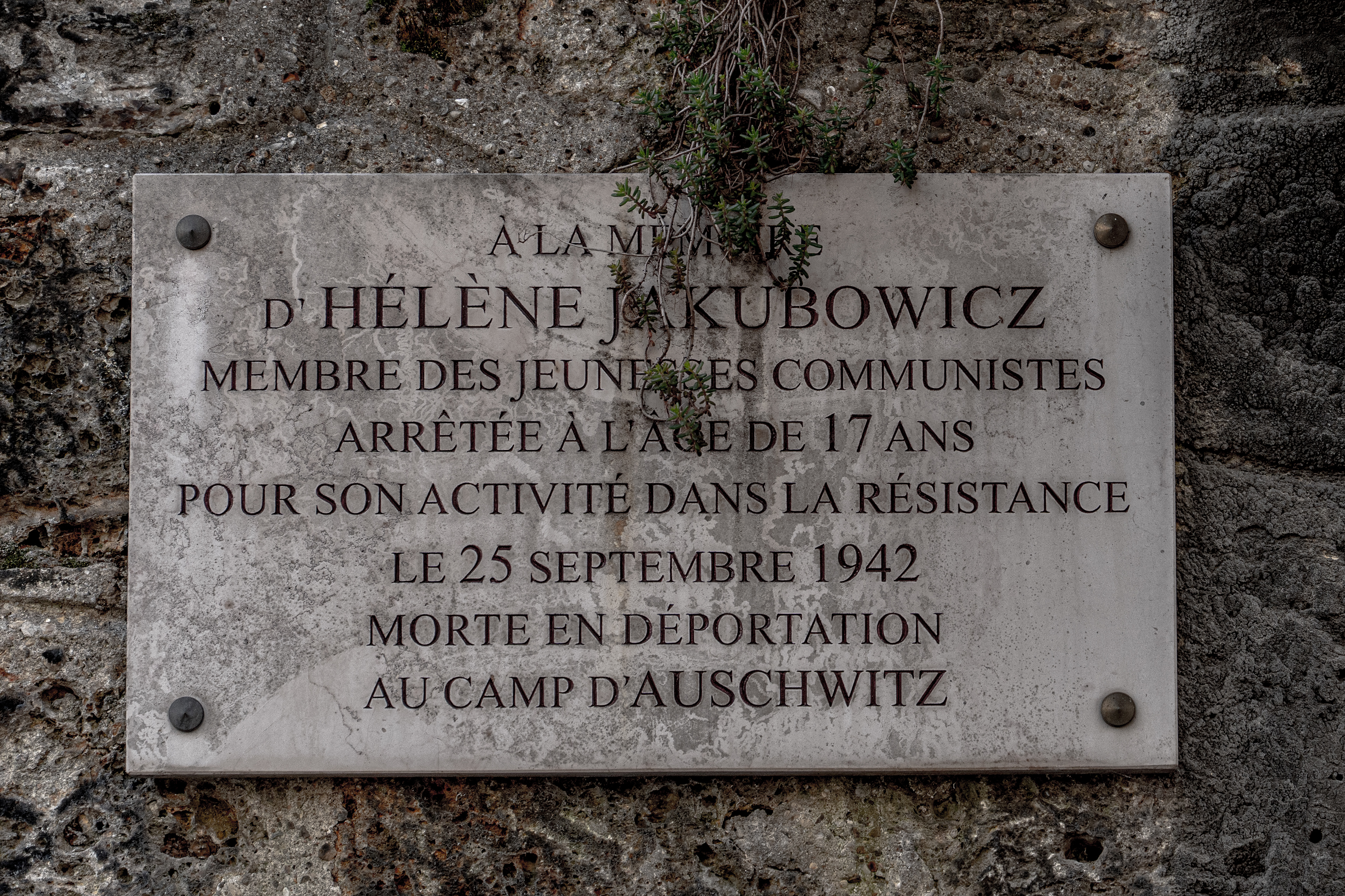 Hélène Jakubowicz arrêtée à l'âge de 17 ans pour son activité dans la Résistance et morte en déportation au camp d'Auschwitz, Paris, France