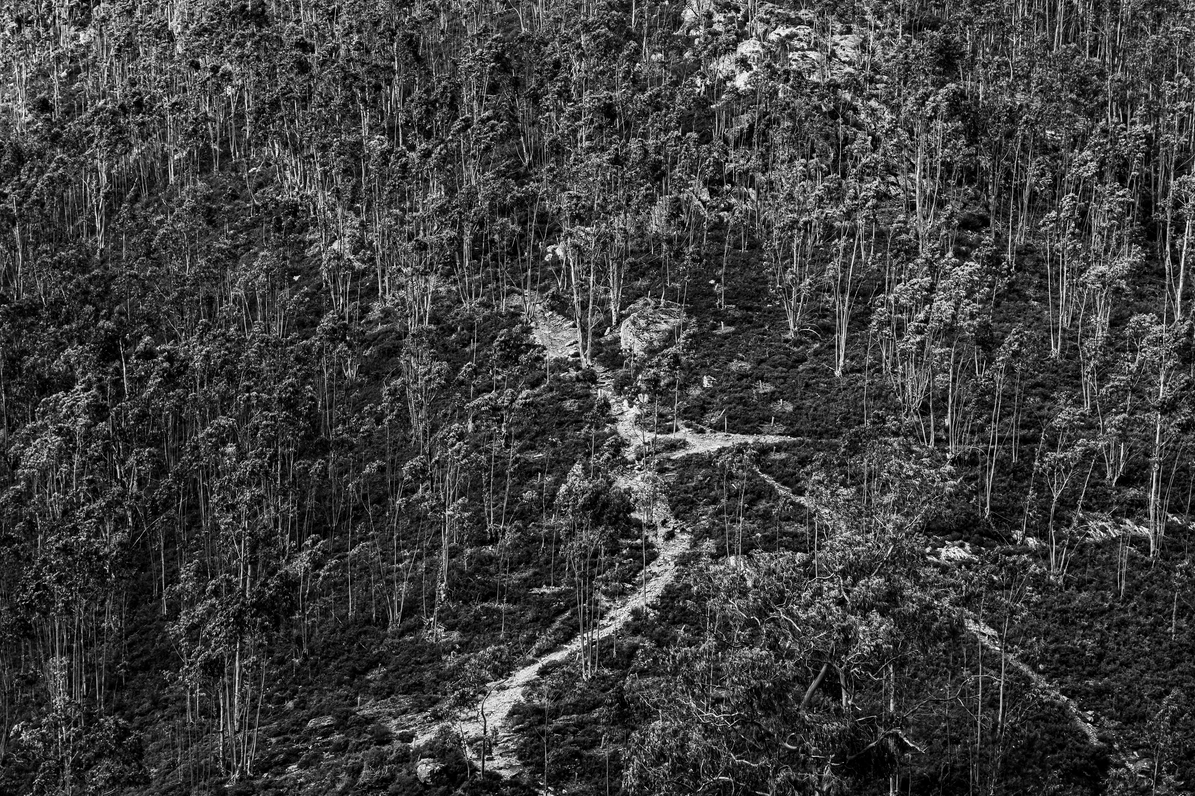 Valongo, Nord, Portugal, 2025