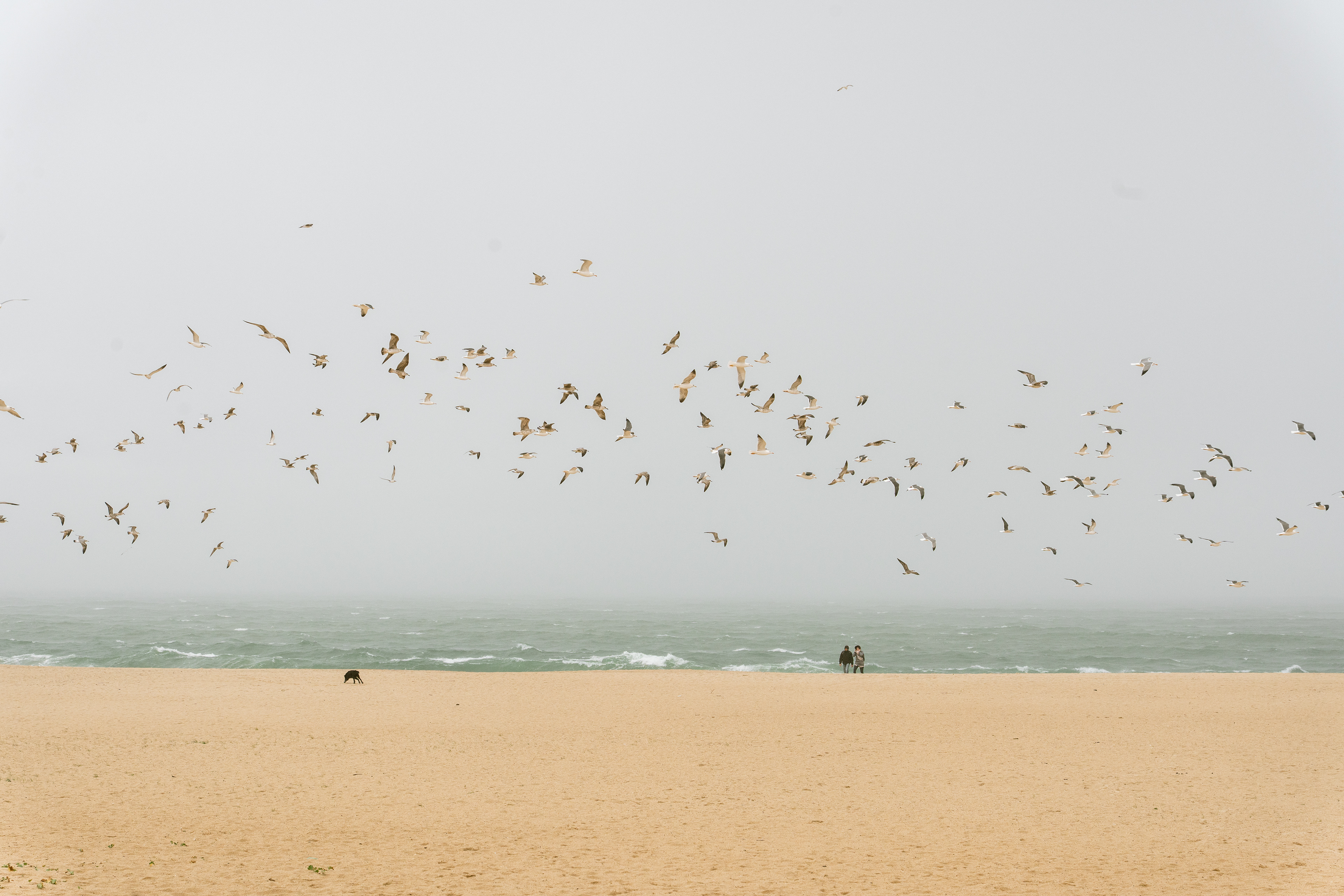 Nazaré, Ouest, Portugal, 2026