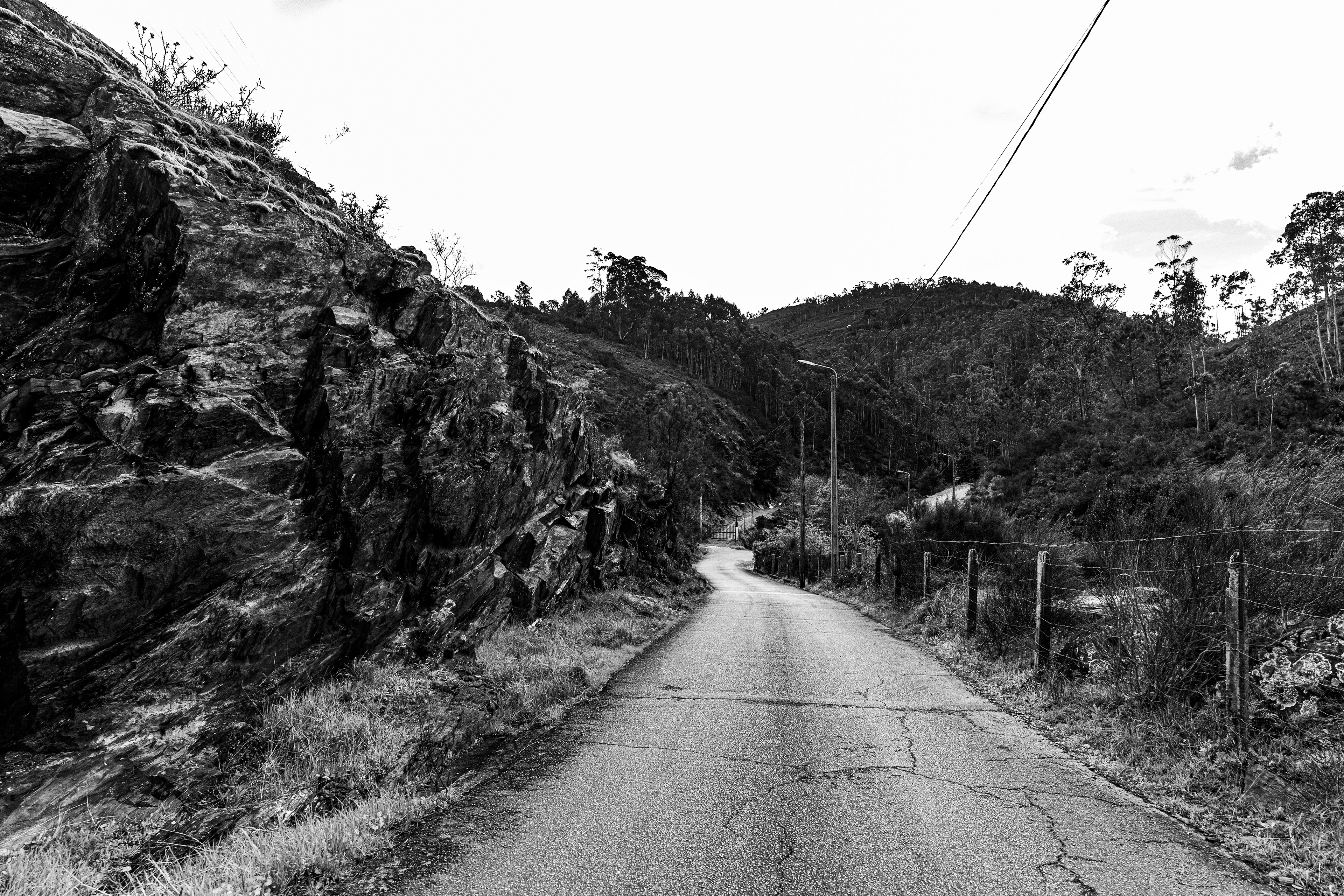 Valongo, Nord, Portugal, 2025