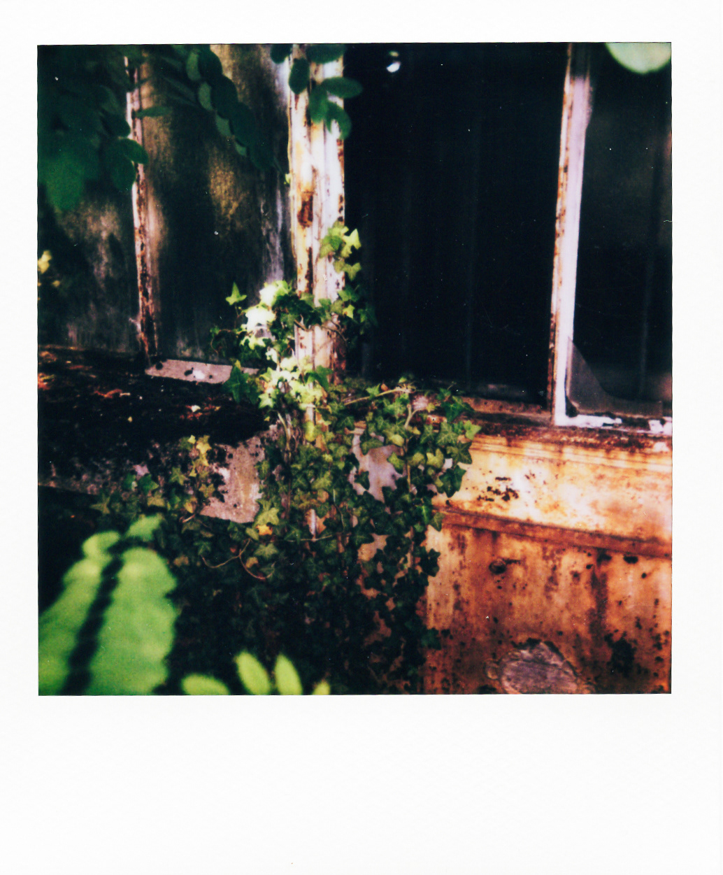 Série "Serres froides", 2026 (Polaroid)