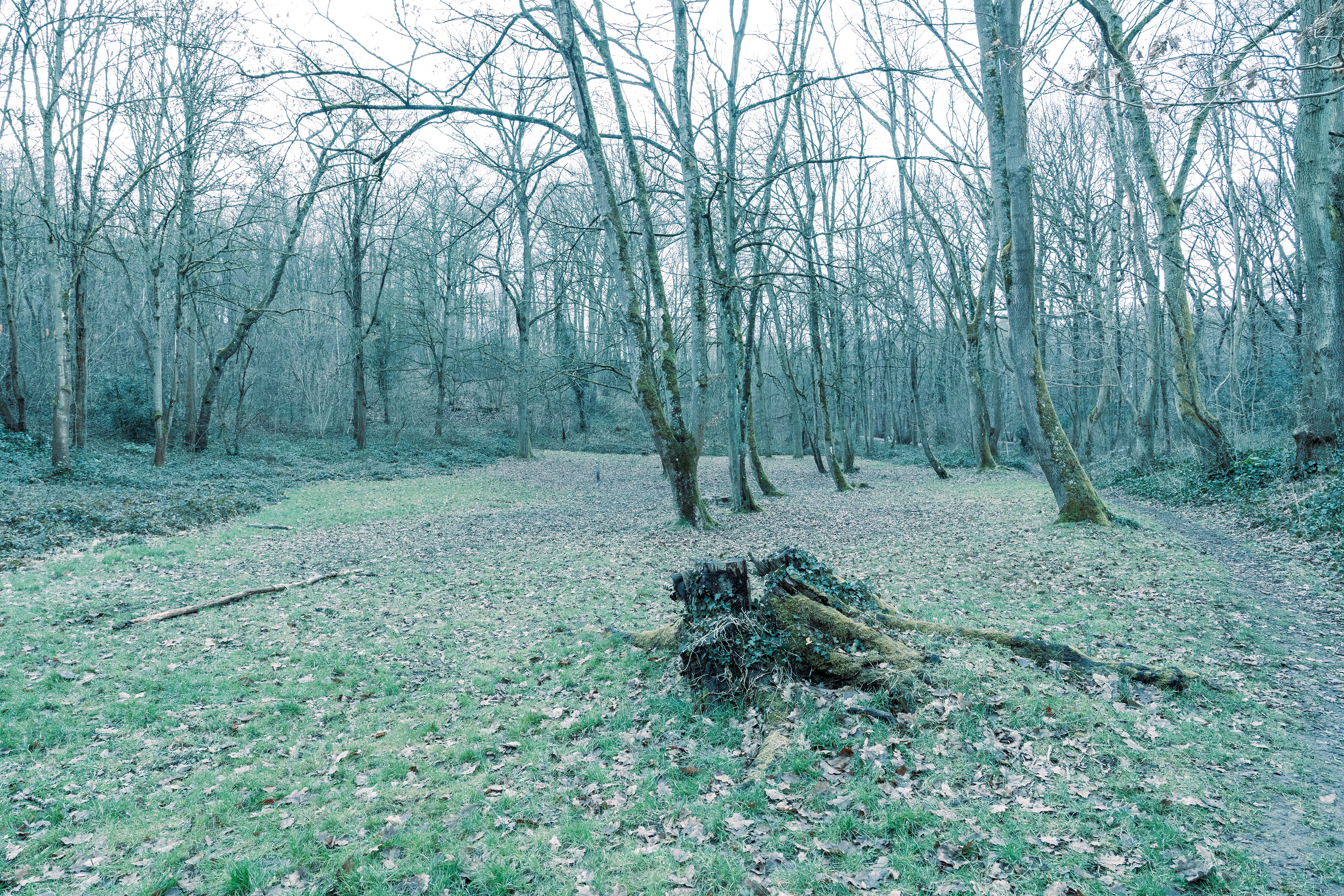 92290, Domaine de la Vallée aux Loups, Châtenay-Malabry, Hauts-de-Seine, Ile-de-France, France, 2025 (Numérique)