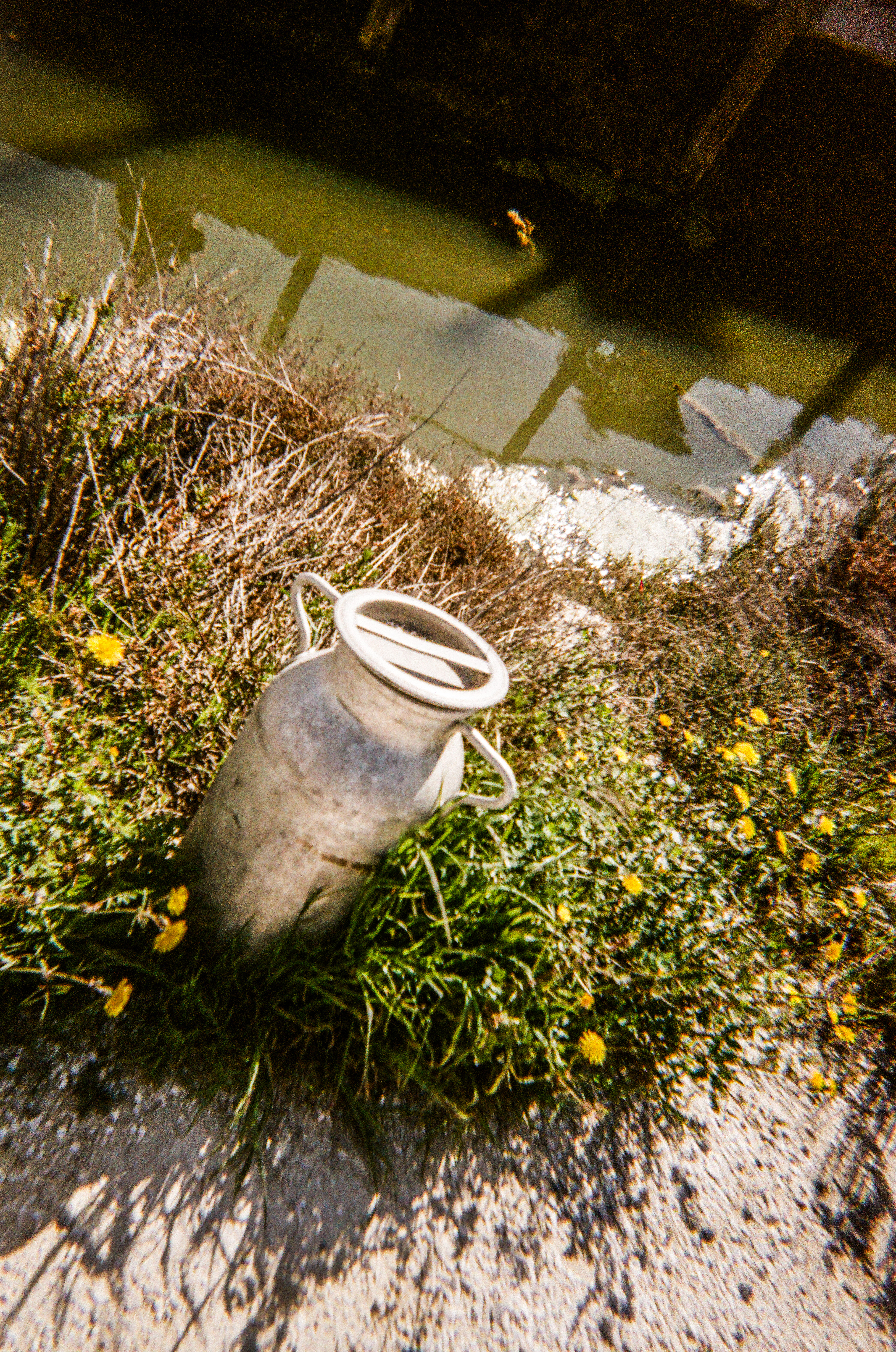 Le salin de l'Île Saint-Martin, Gruissan, Aude, France, 2026