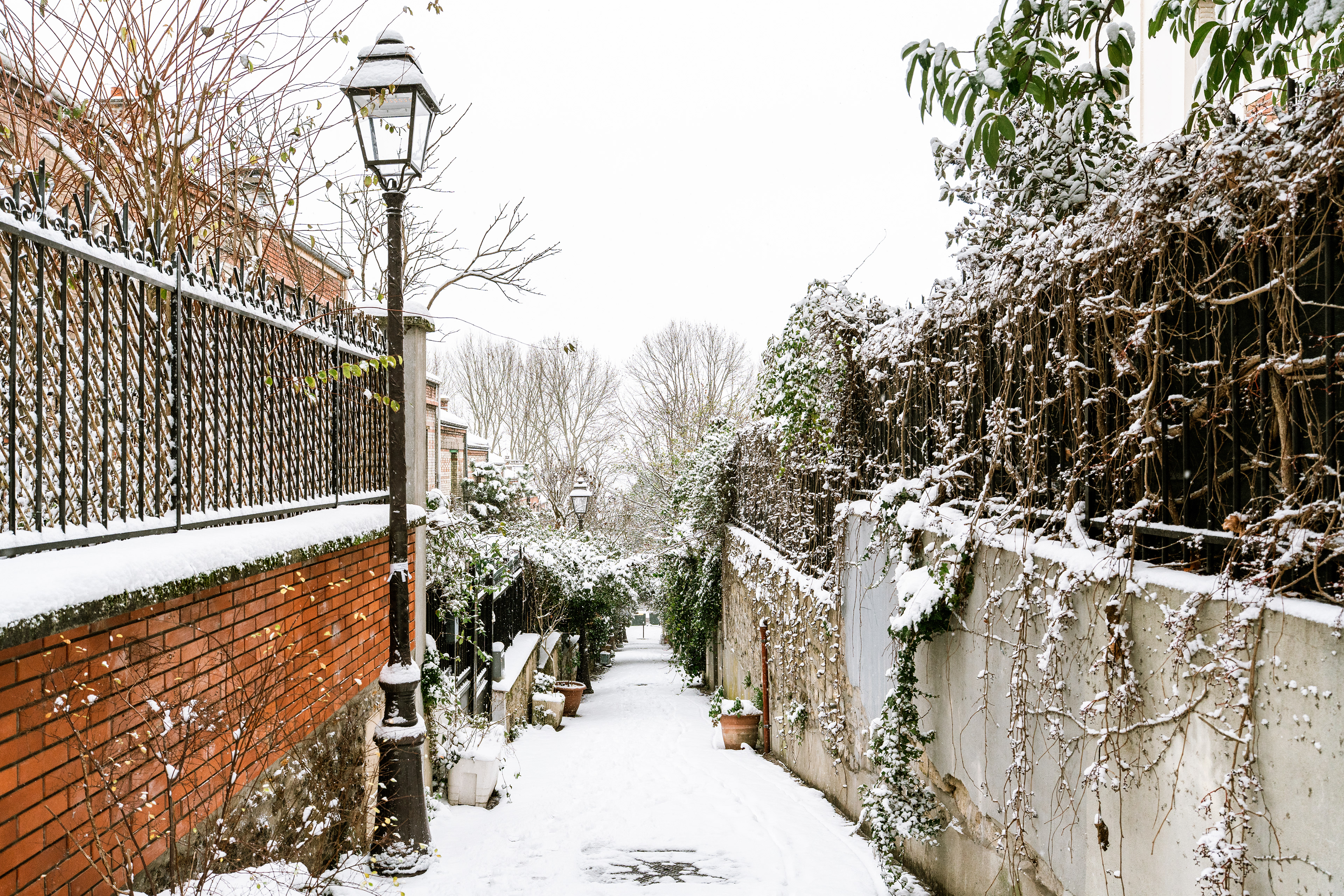 Paris, Ile-de-France, France, 2026