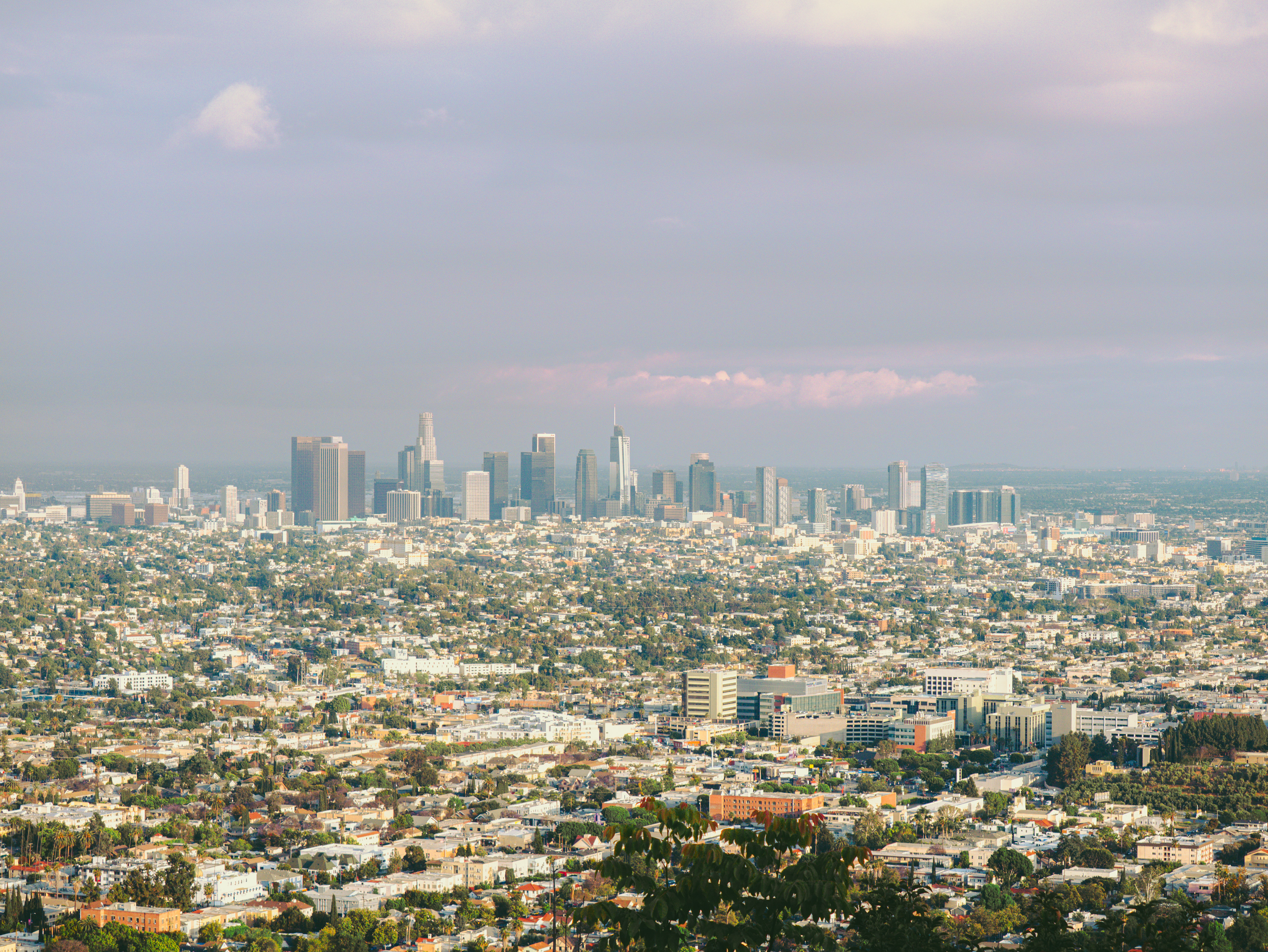 LA