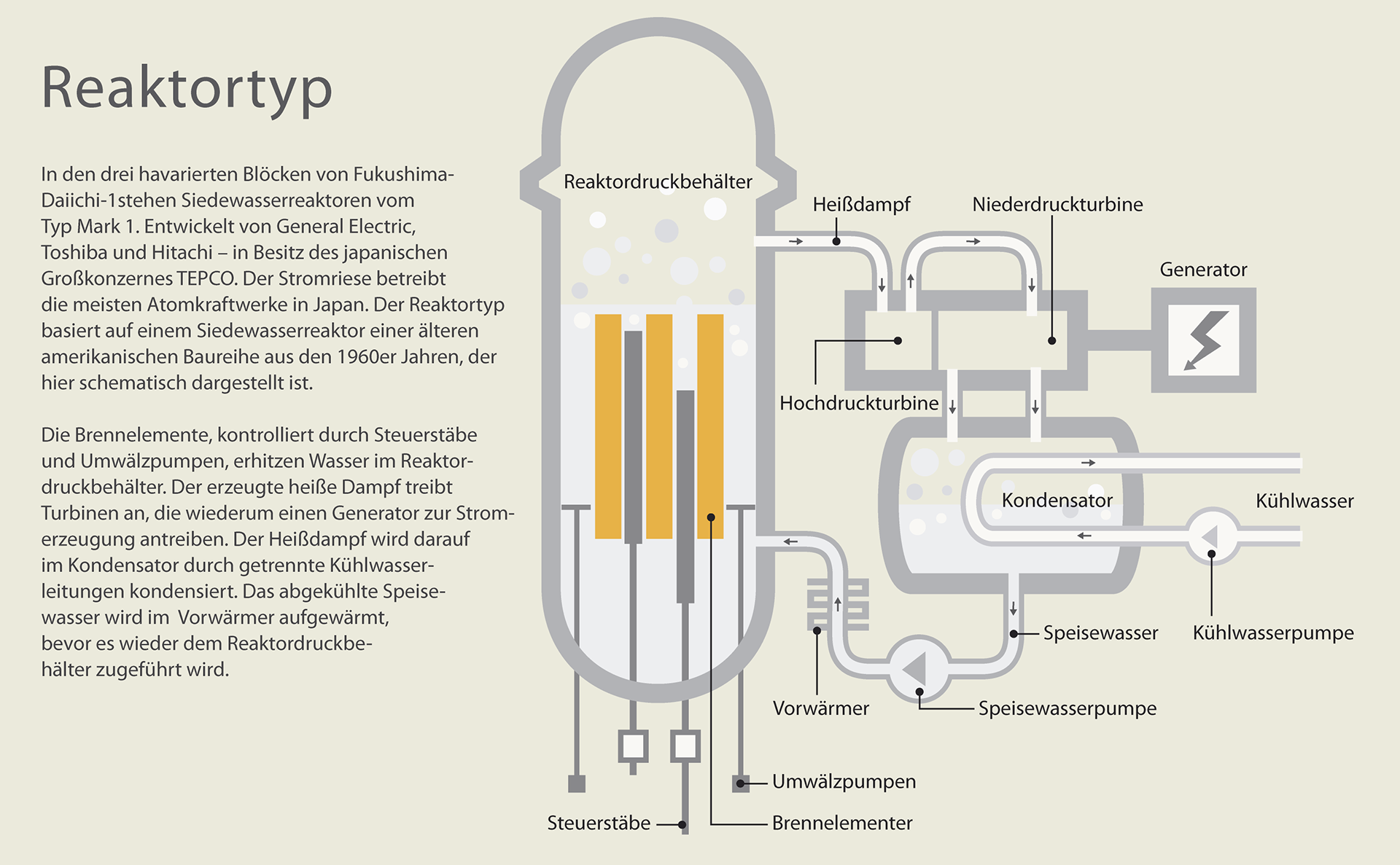 Reactor type Mark 1 of TEPCO