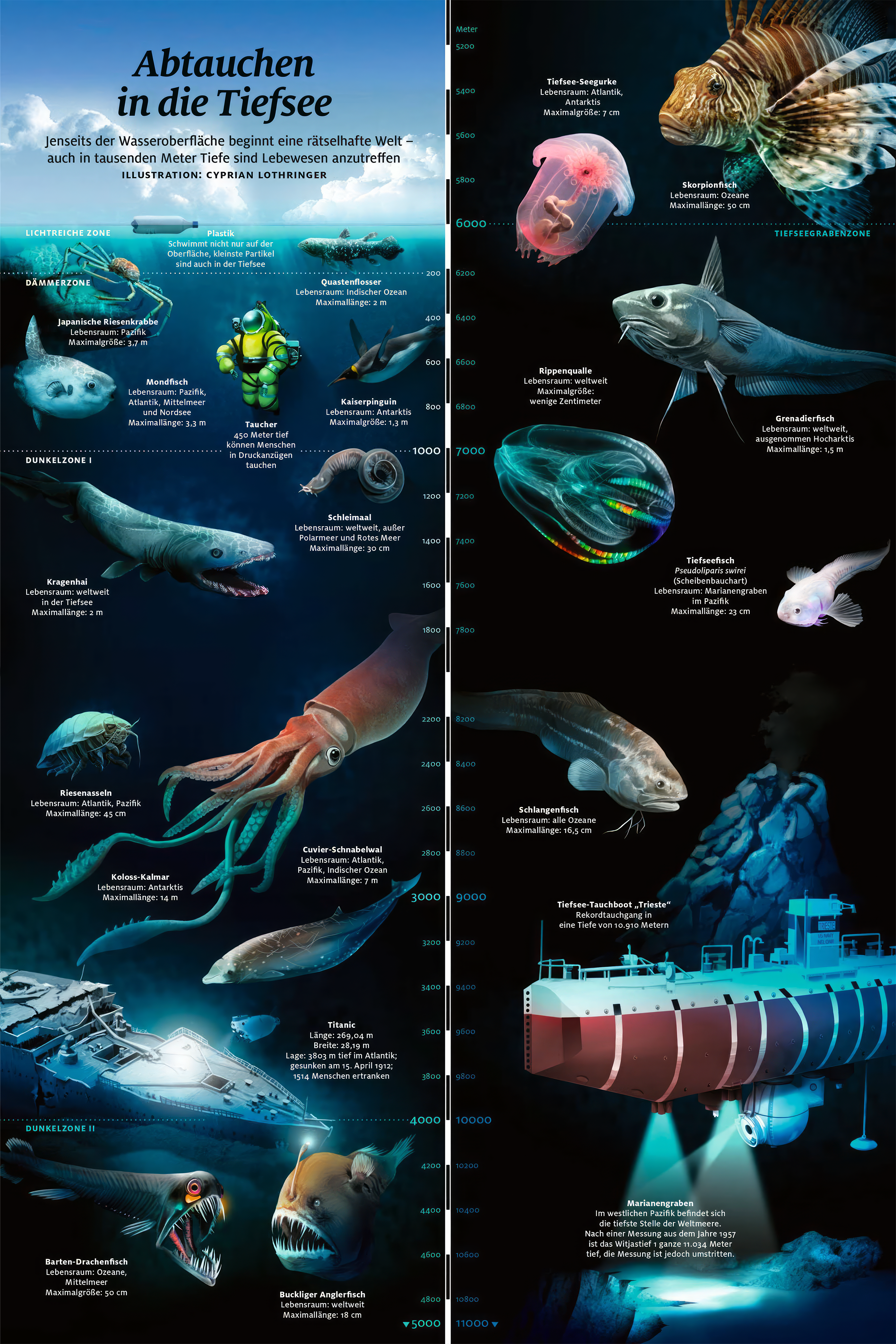 illustrative Infografik: Leben in der Tiefsee
