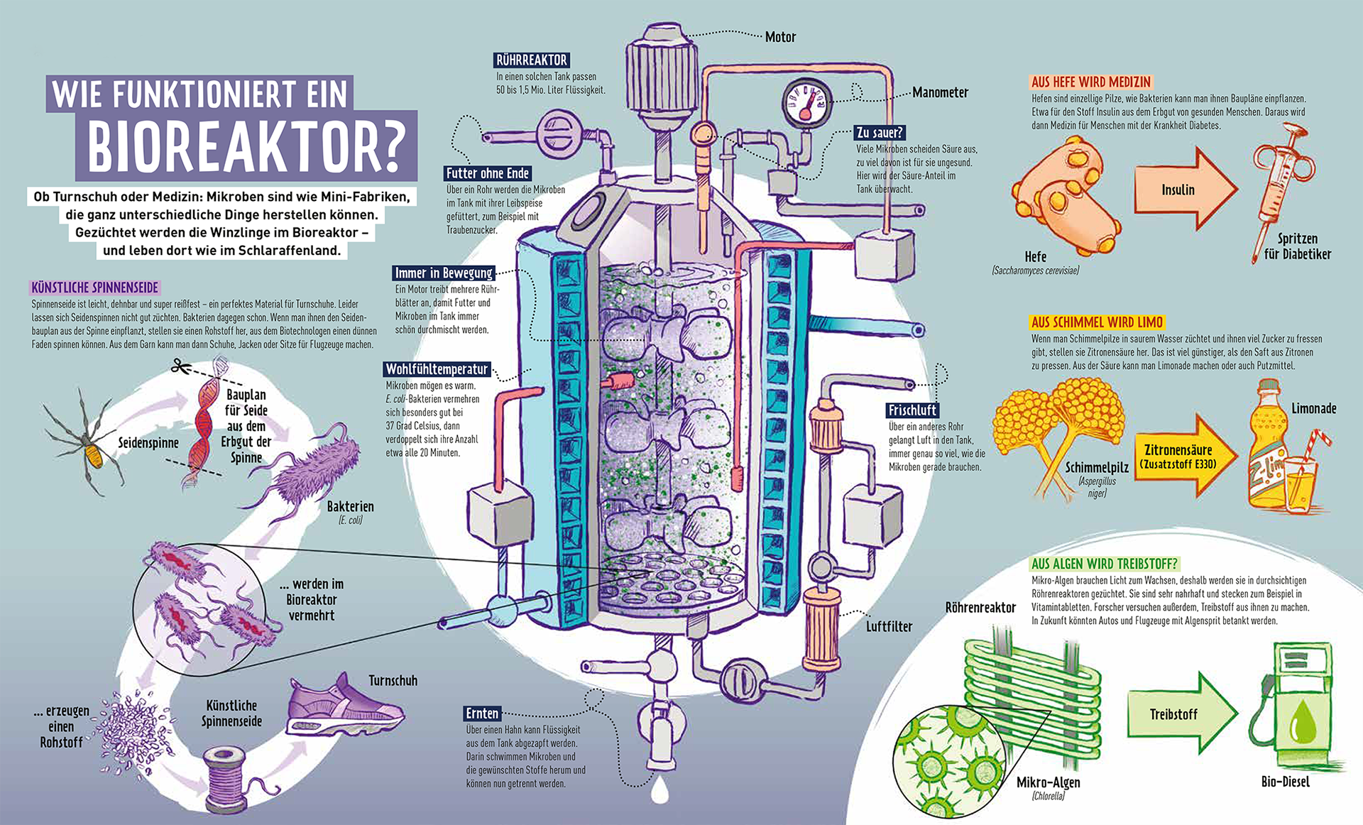 Infografik Bioreaktor