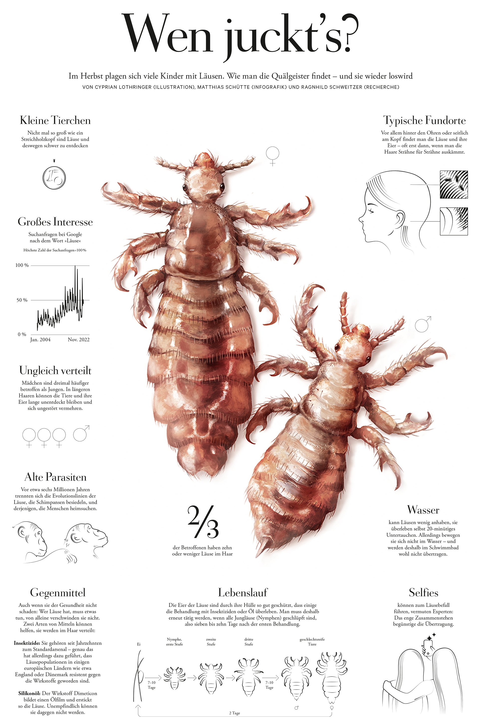 Infografik zum Thema: Laus