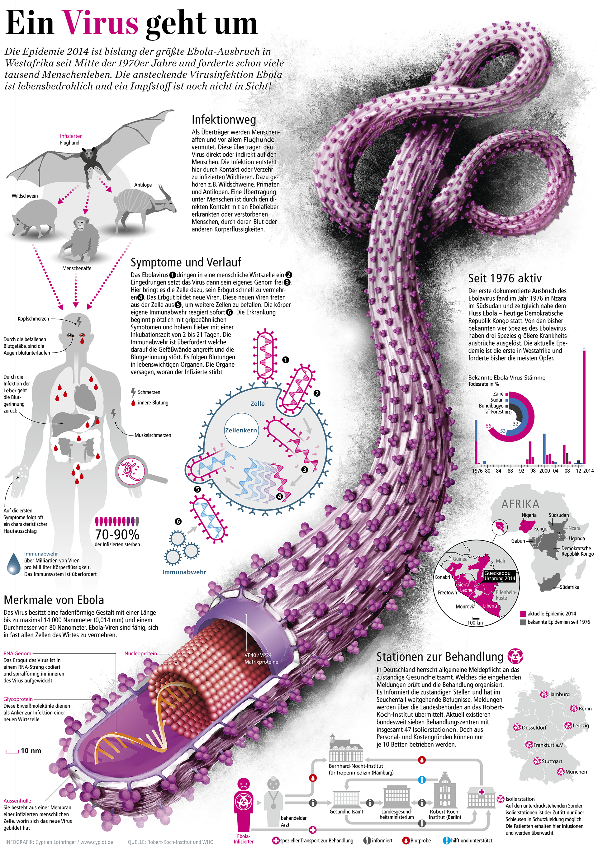 Infografik zum Virus EBOLA