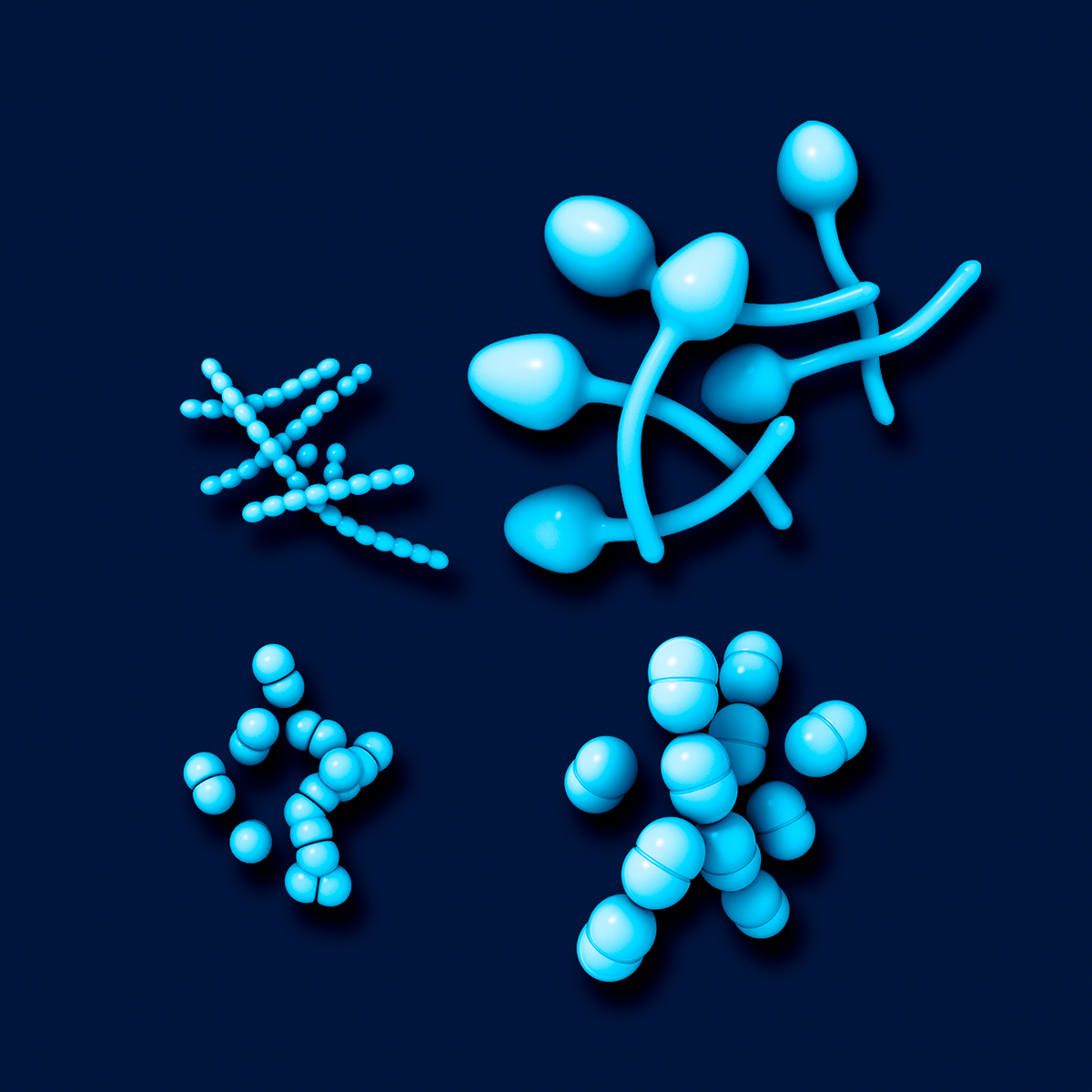Bacteria in the respiratory tract