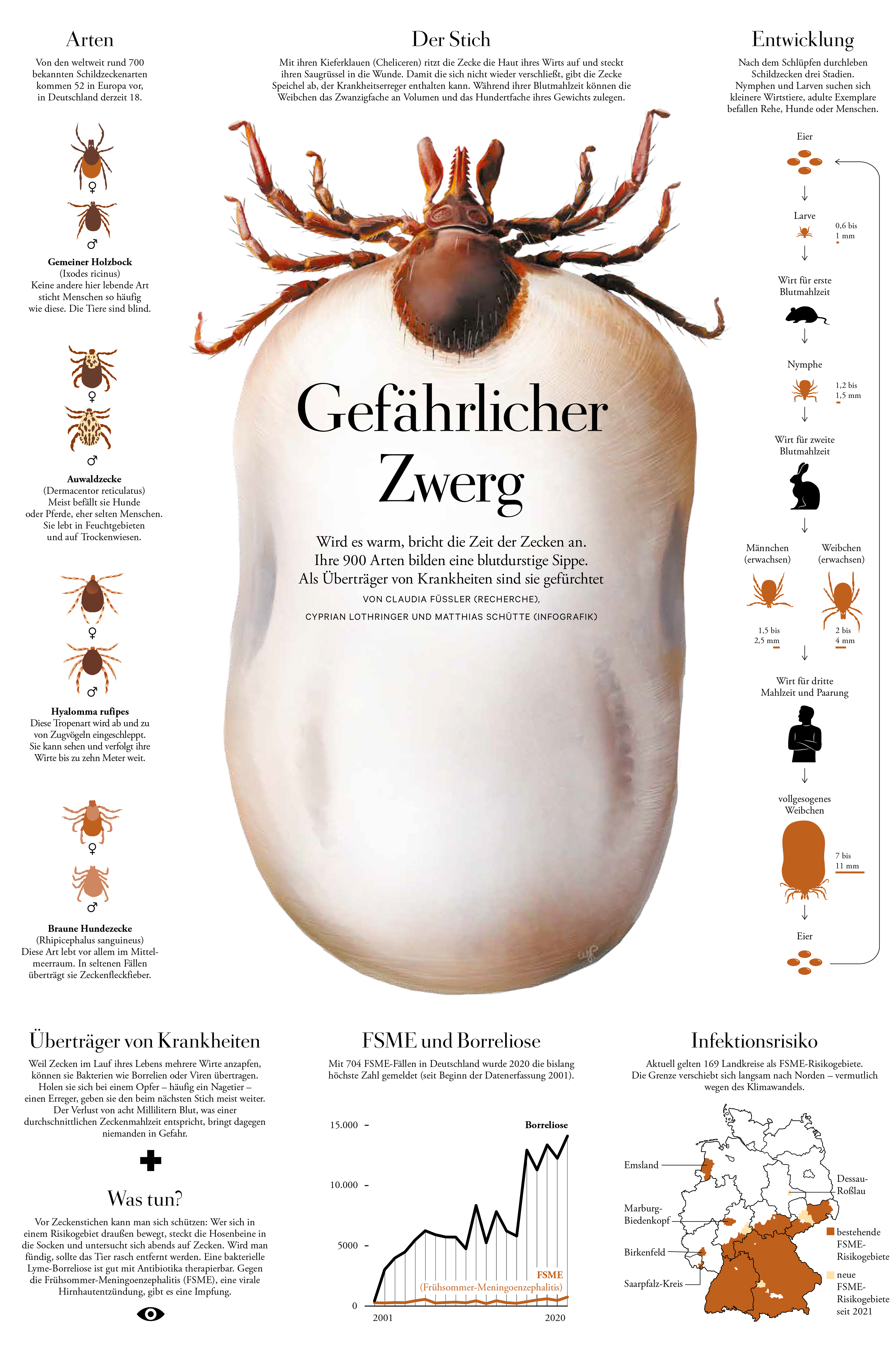 Infografikseite zur Zecke