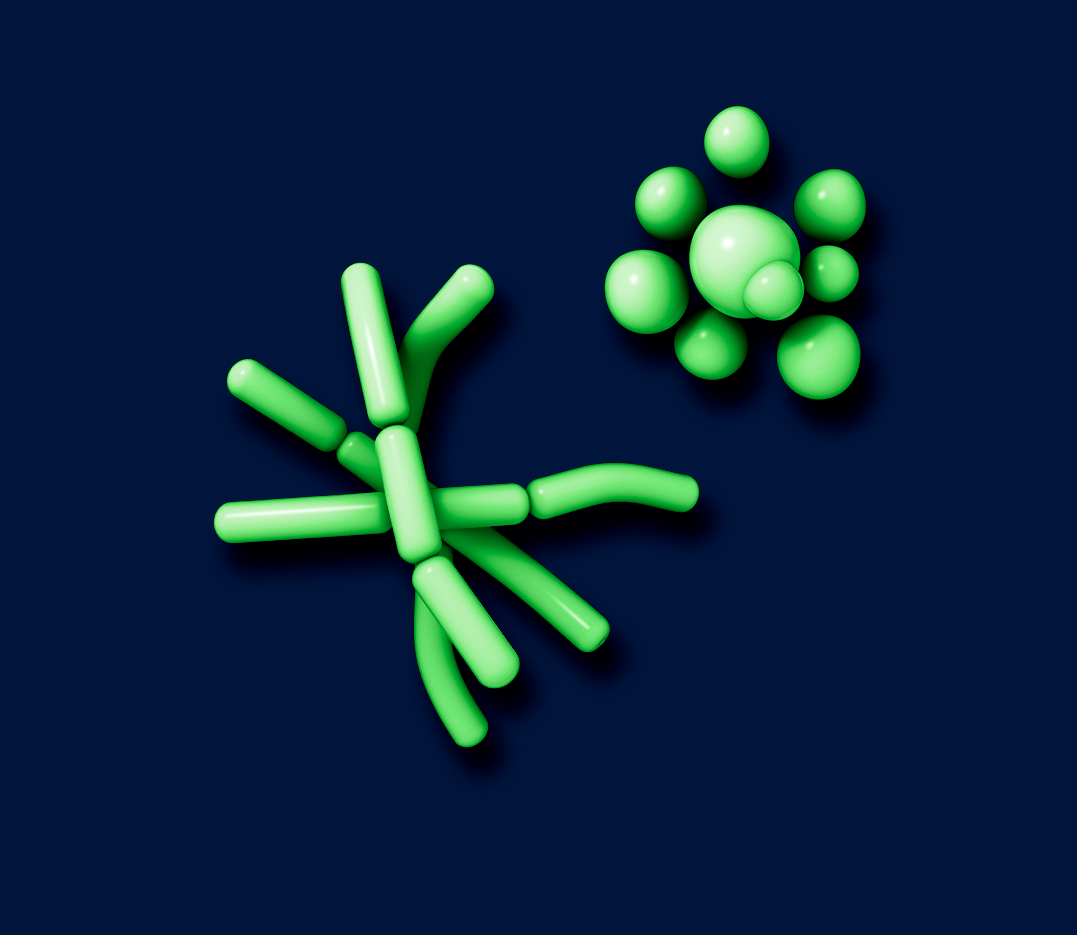 Bacteria in the genitourinary tract