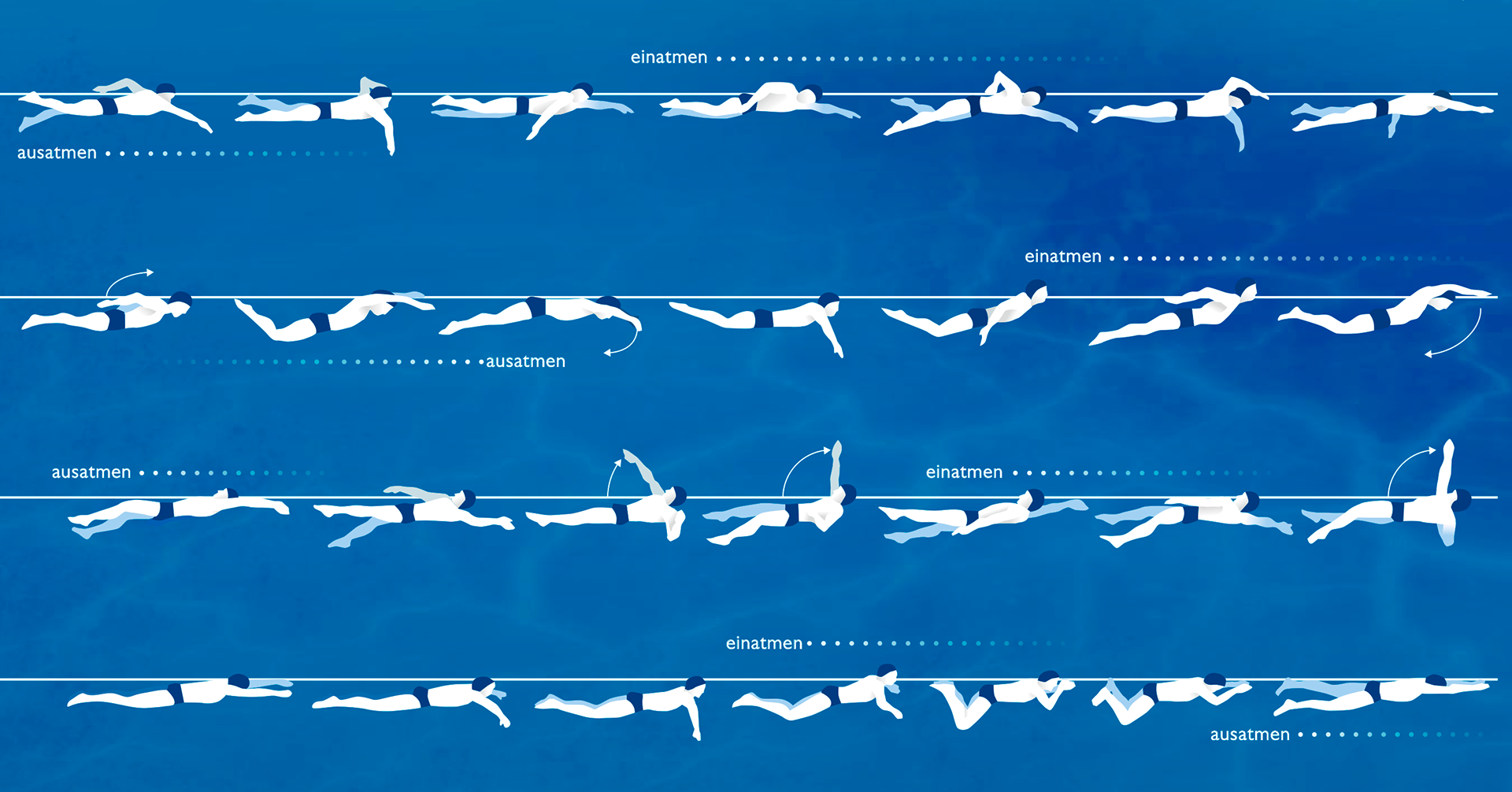 Five swimming disciplines