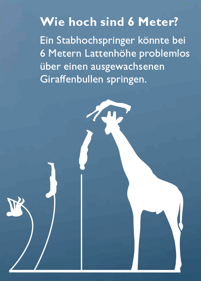 A pole vaulter could easily 6 meters high could easily over a full-grown giraffe bull.