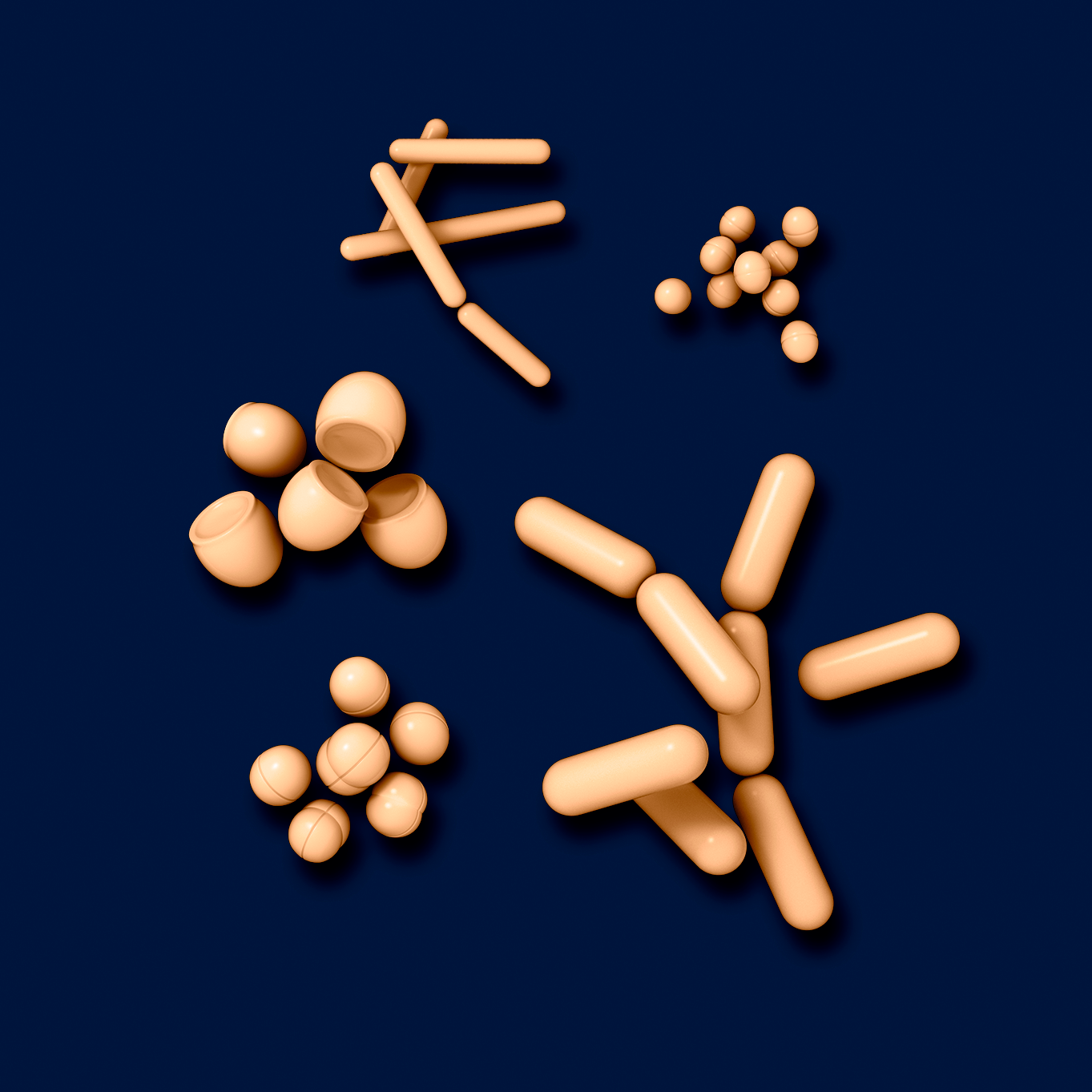 Bacteria on the skin