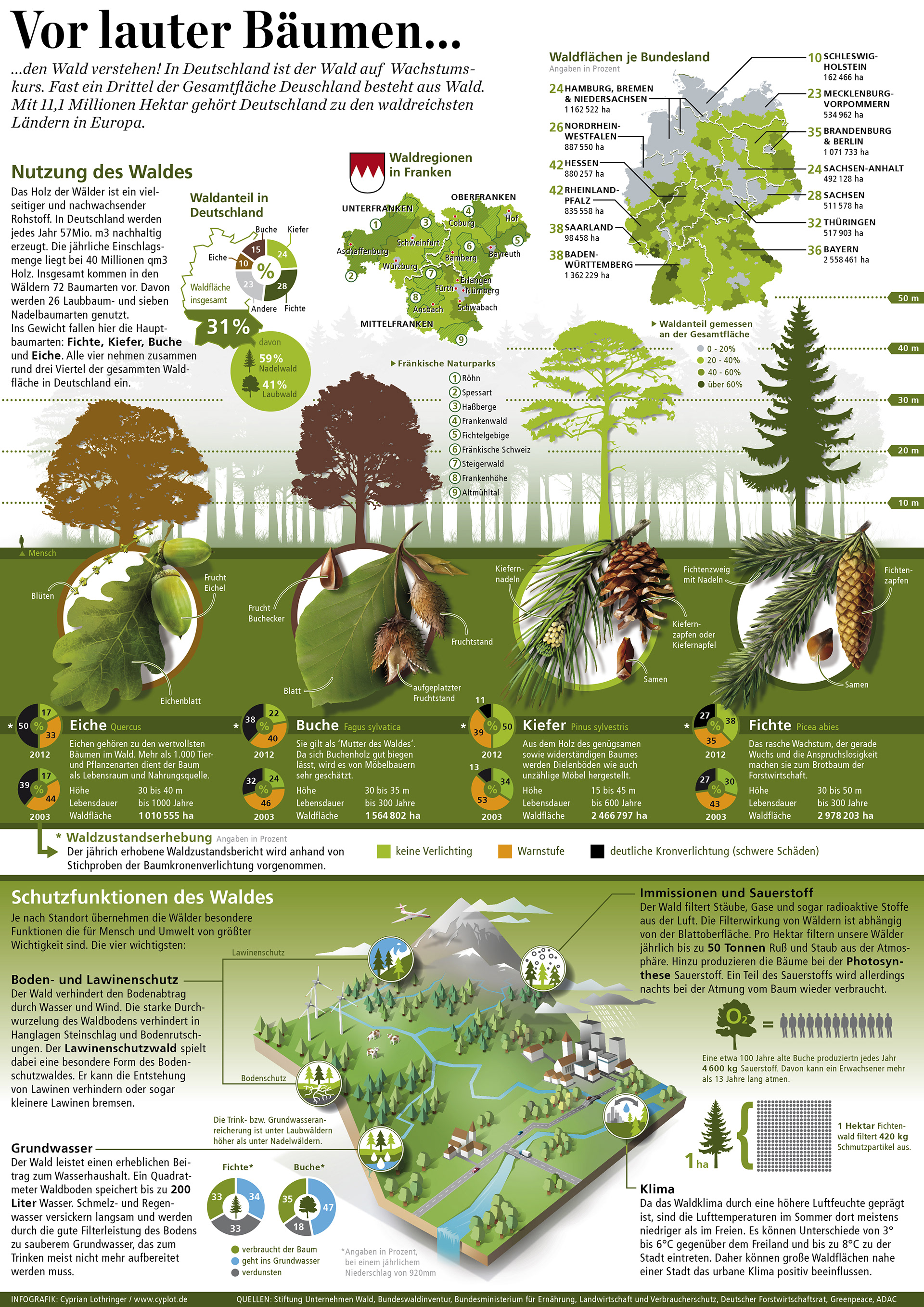 Infografikseite zum Thema Wald