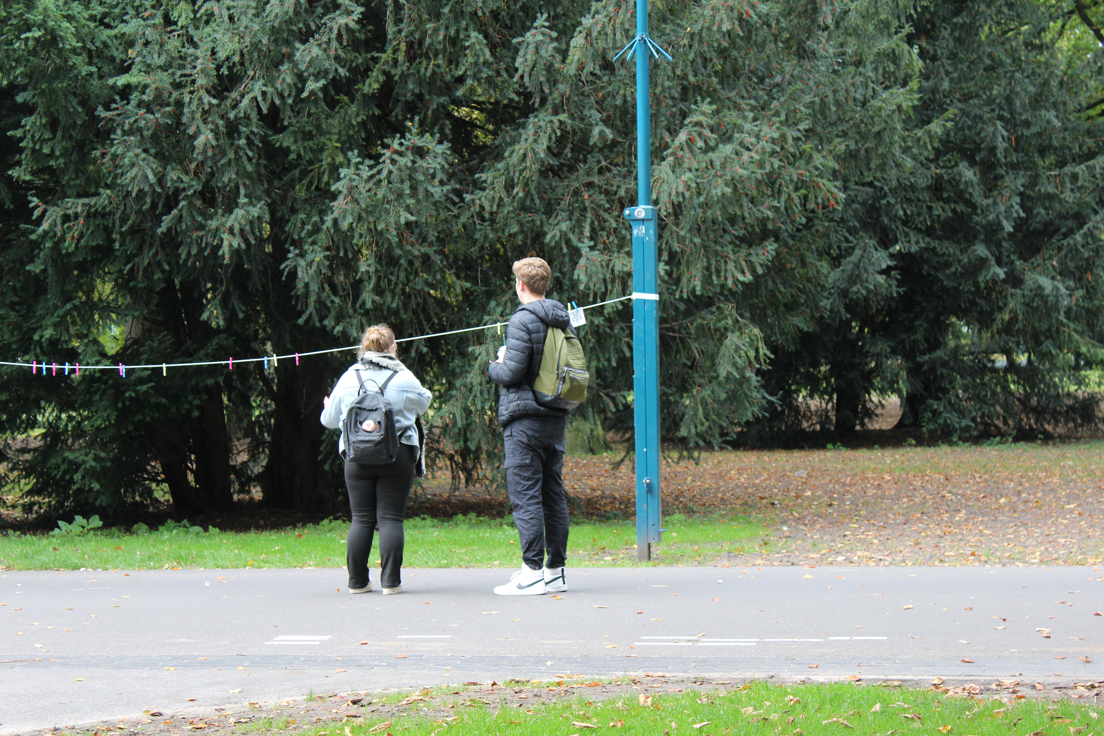 Experiment gevoelwaslijn