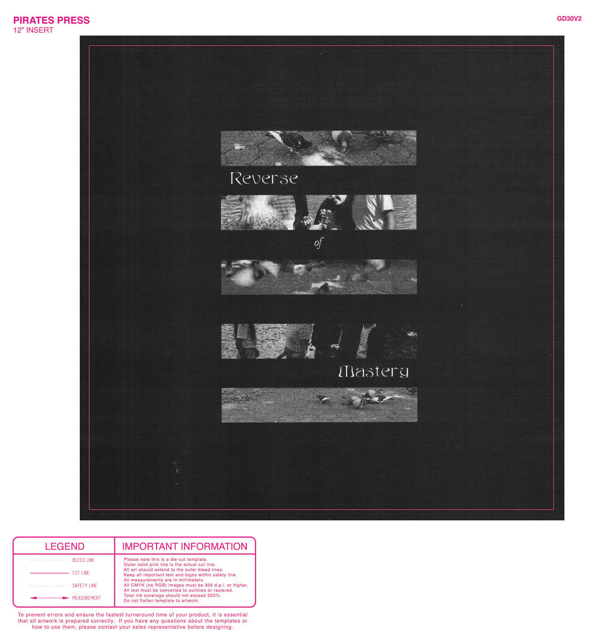 dig nitty_12 inch_lp insert_layout A