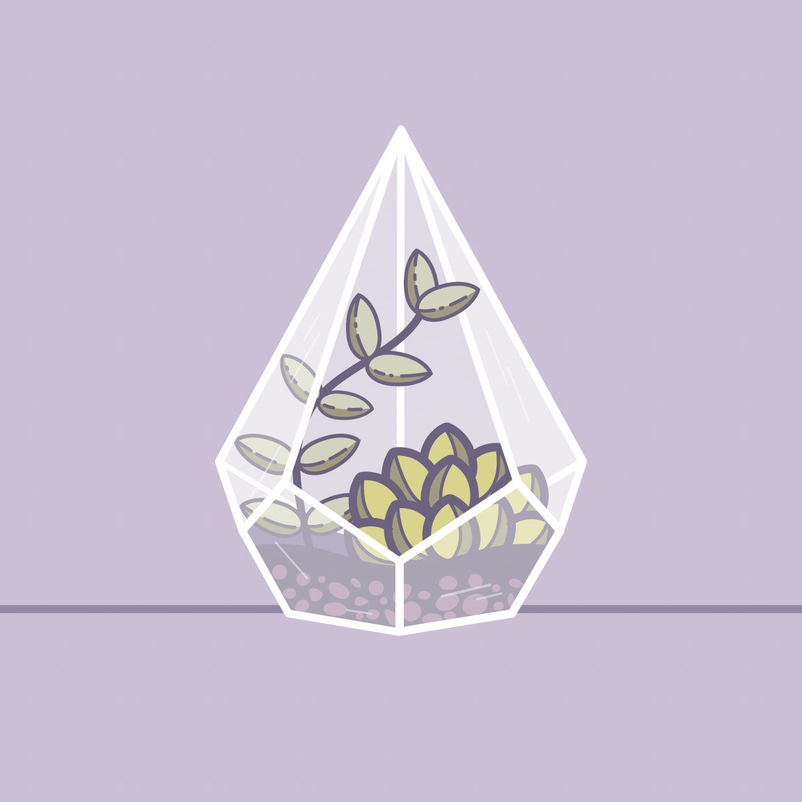 Terrarium | Pentagon