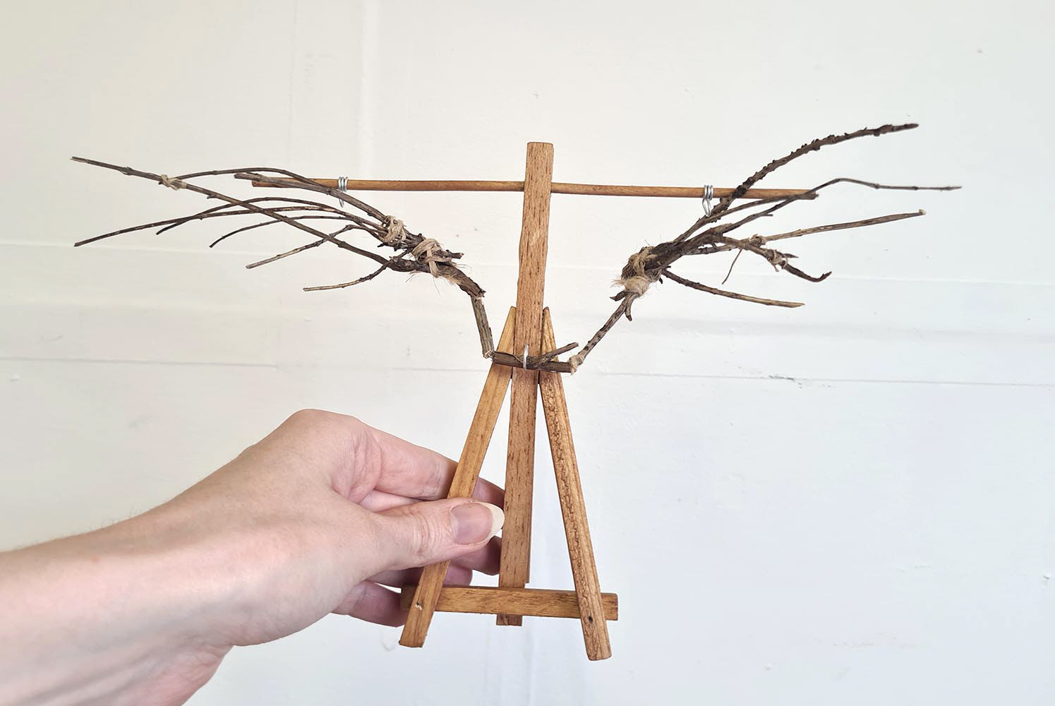 The goblin's poor attempt at some wings. They are partially animatable, with wires drilled into the sticks.