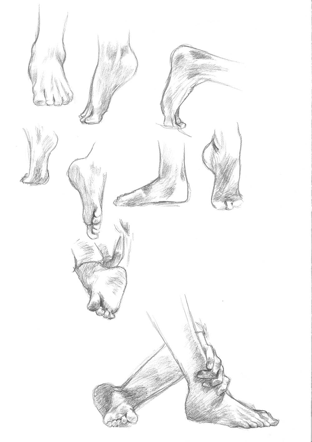 Feet studies