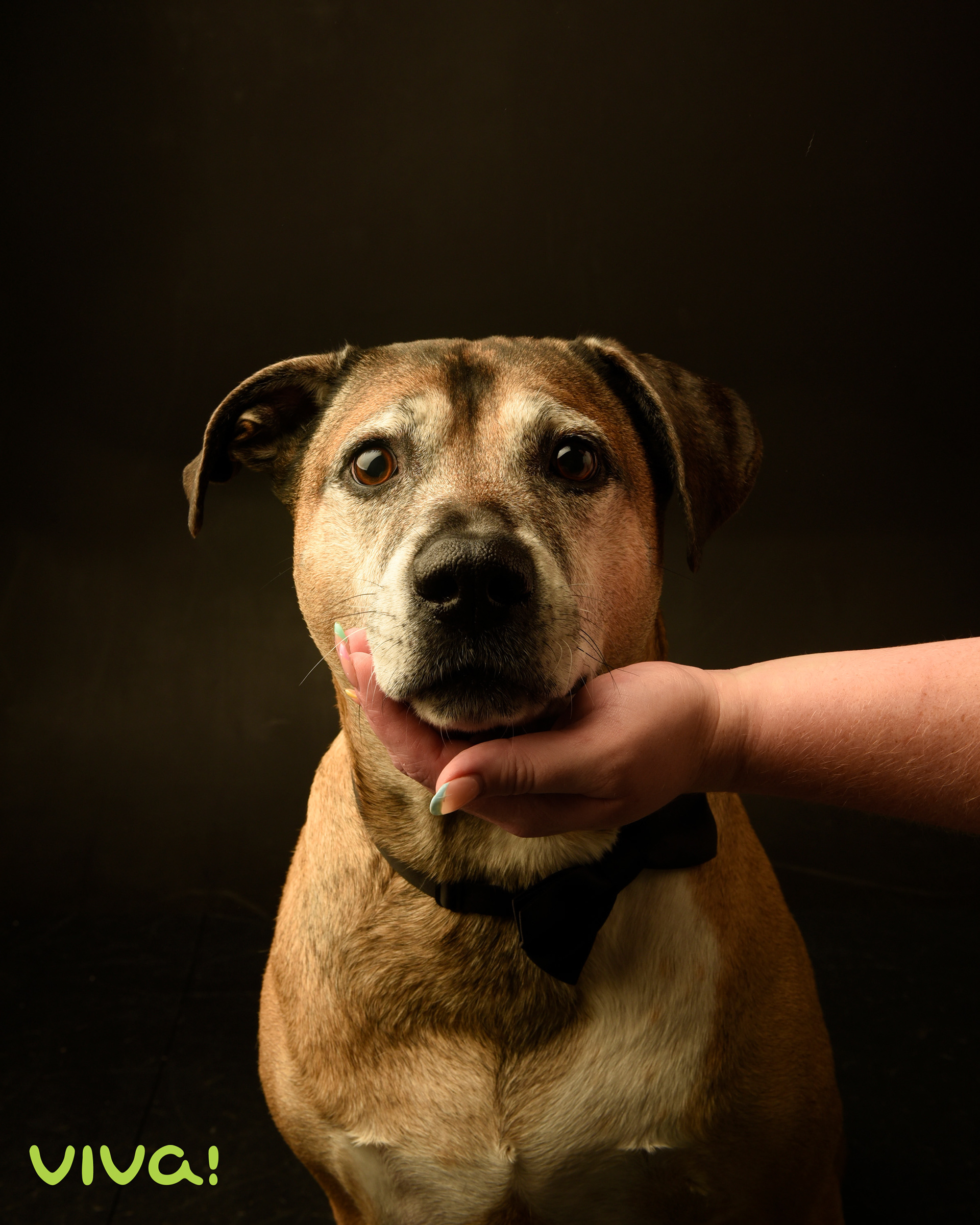 Captured at Viva Photography Fremantle. All Rights Reserved by Viva.