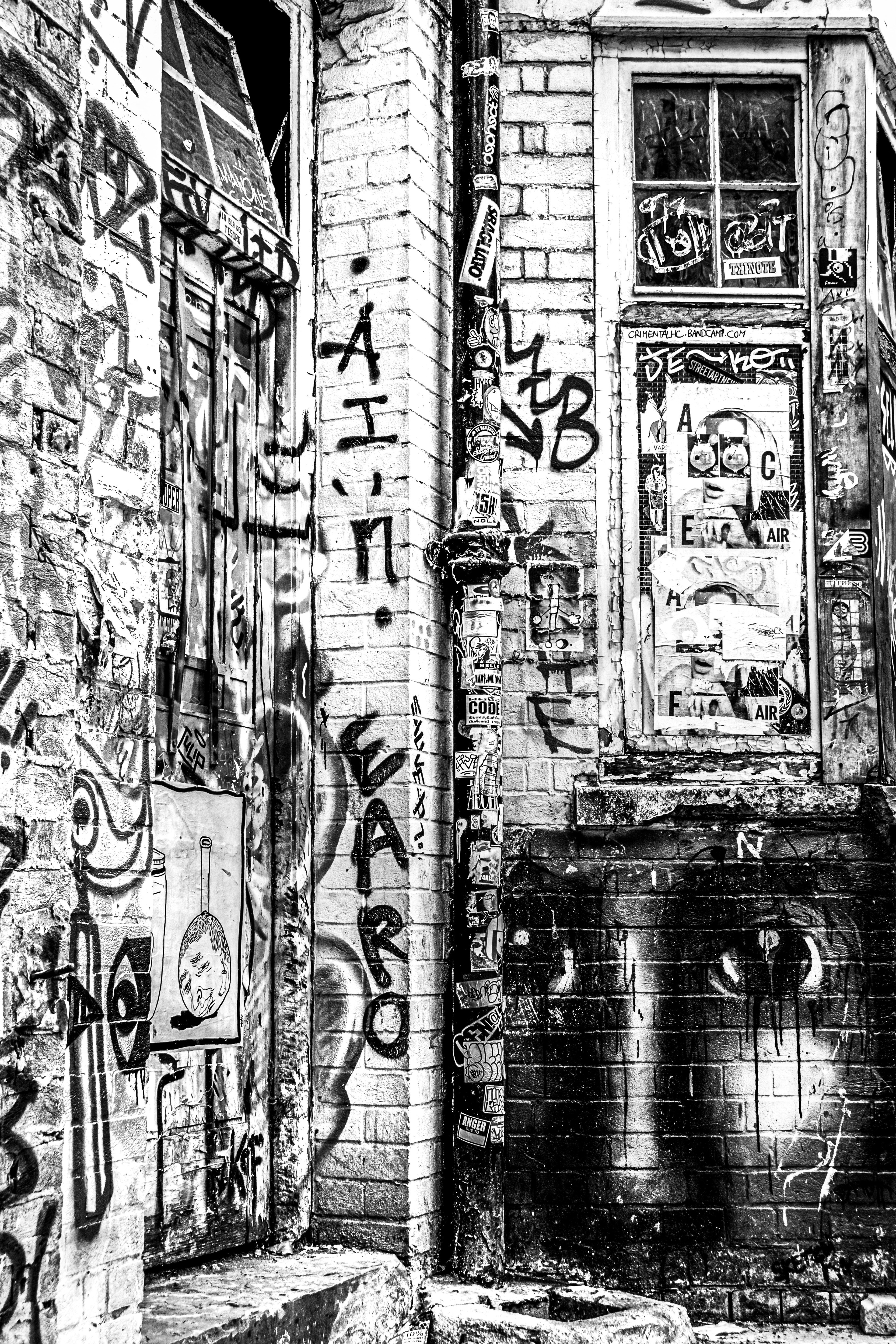 Beauty in All Things