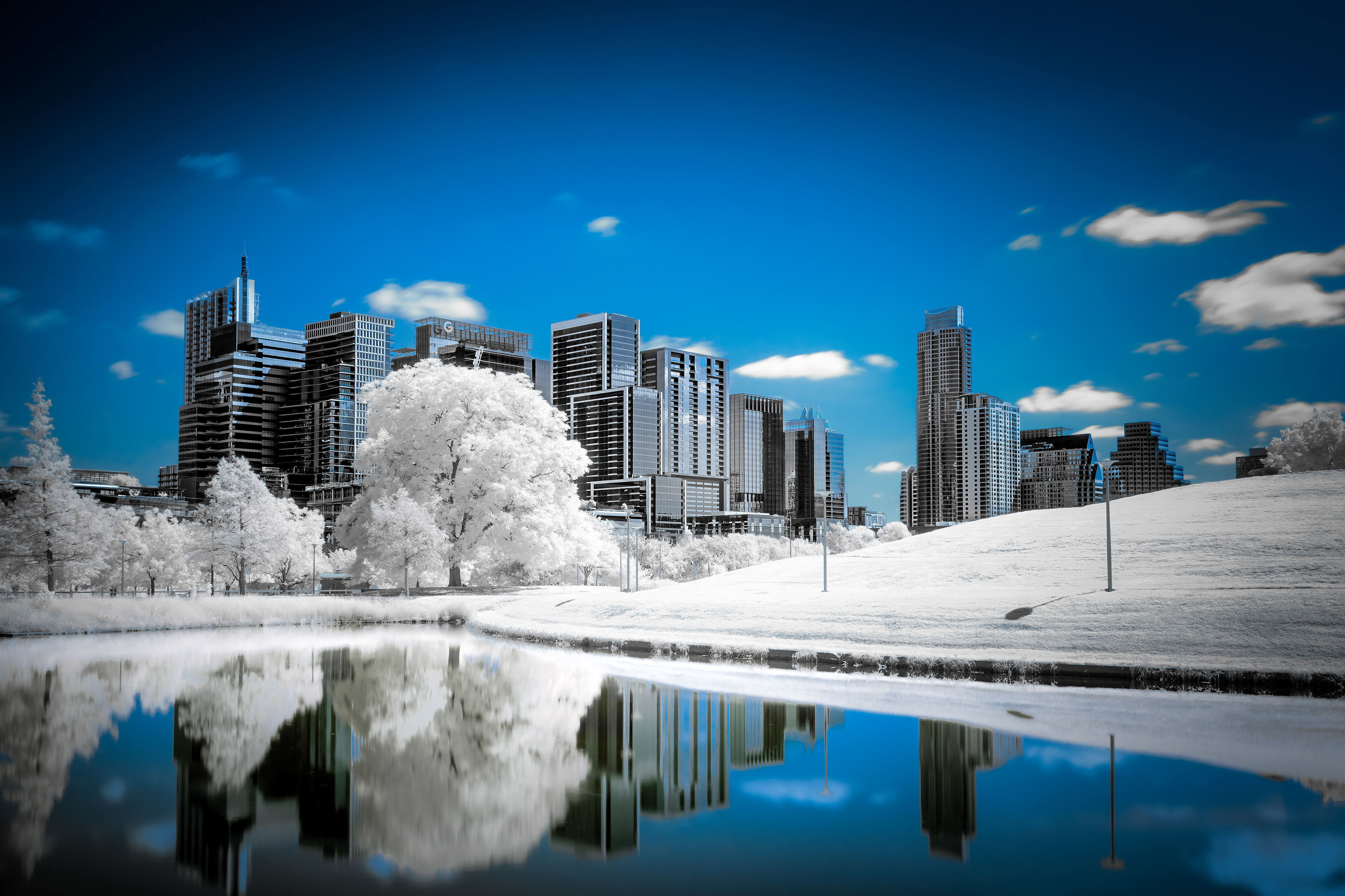 An Austin Winter Dream