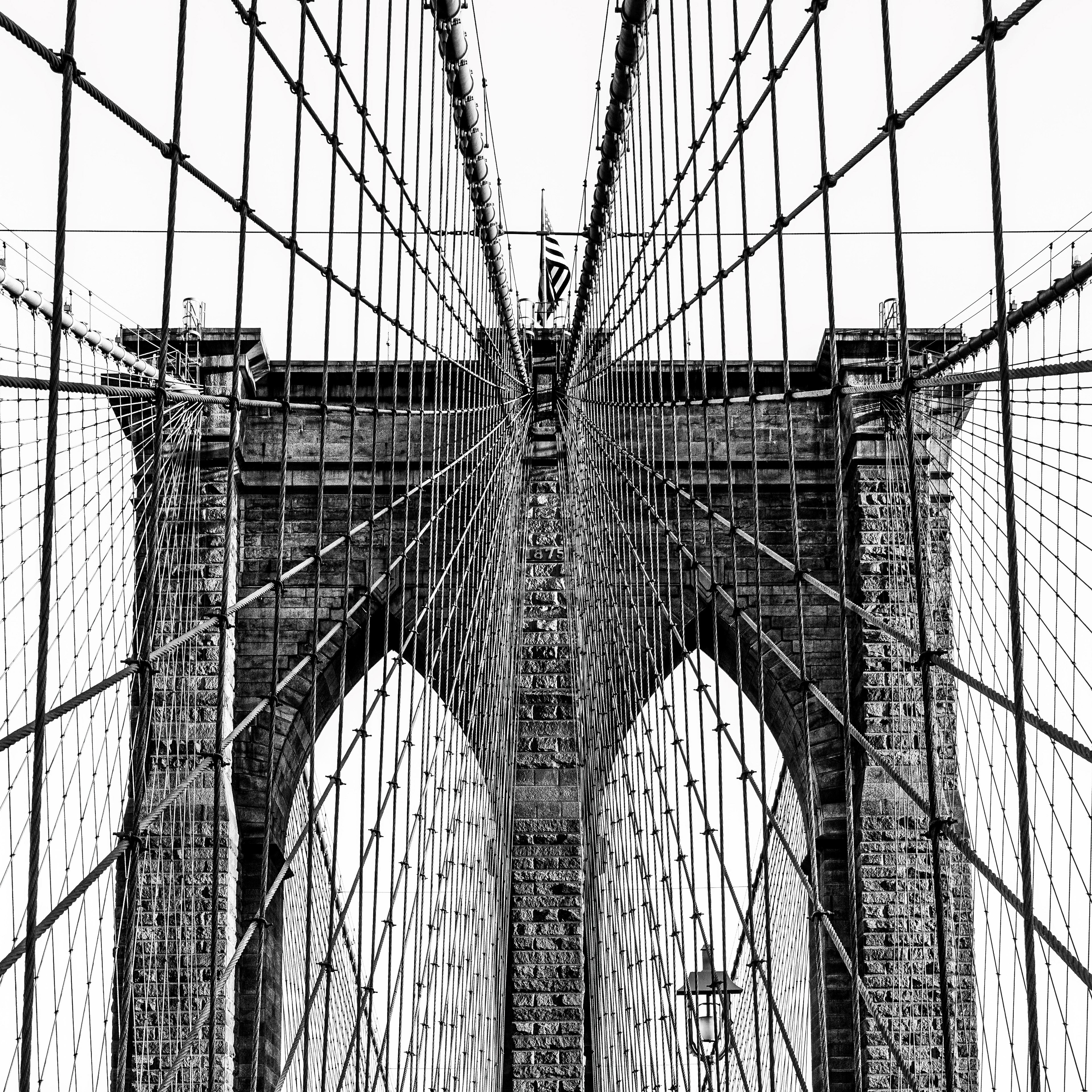 Web Over Brooklyn