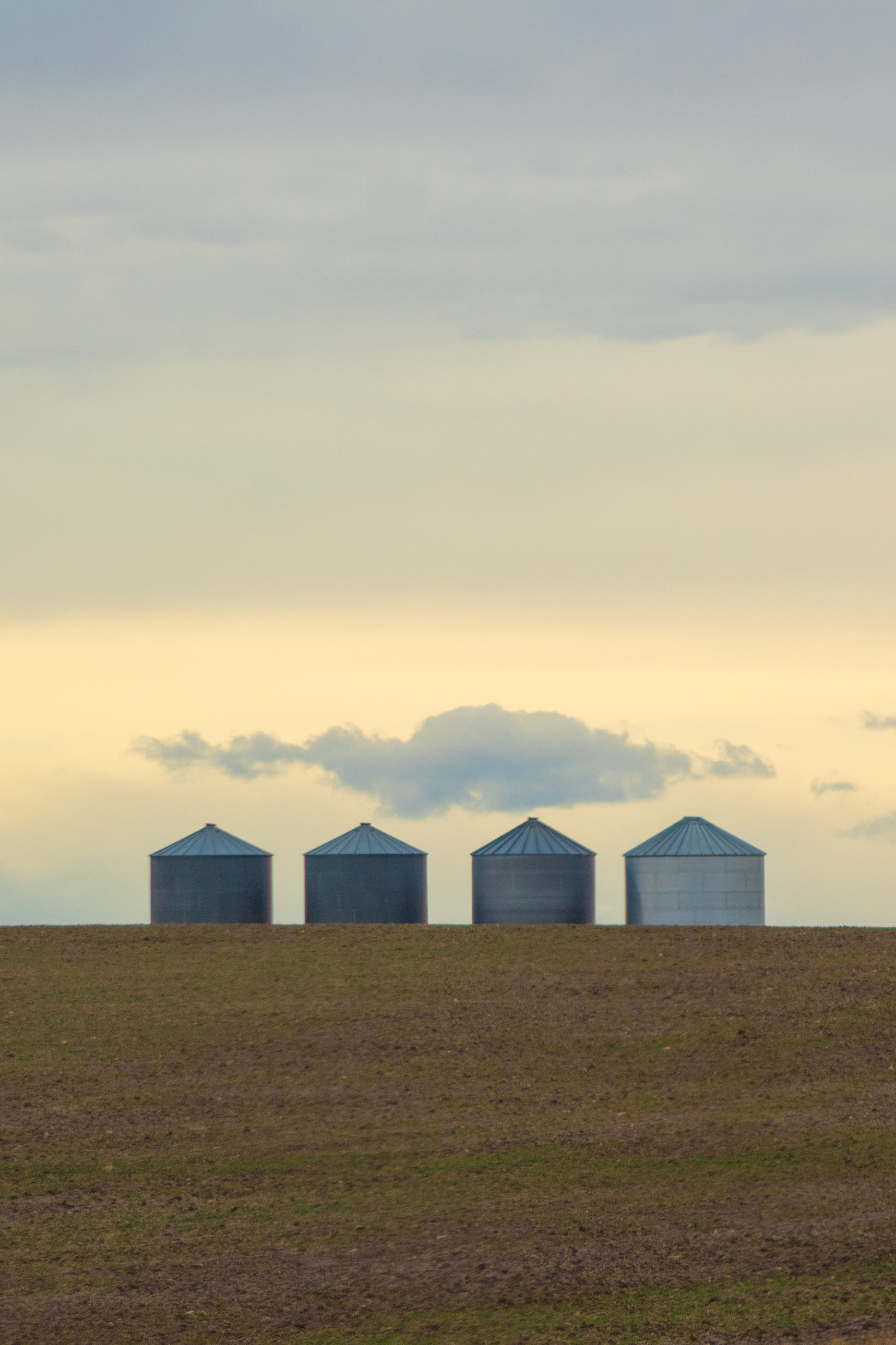 Monochromatic Color Scheme