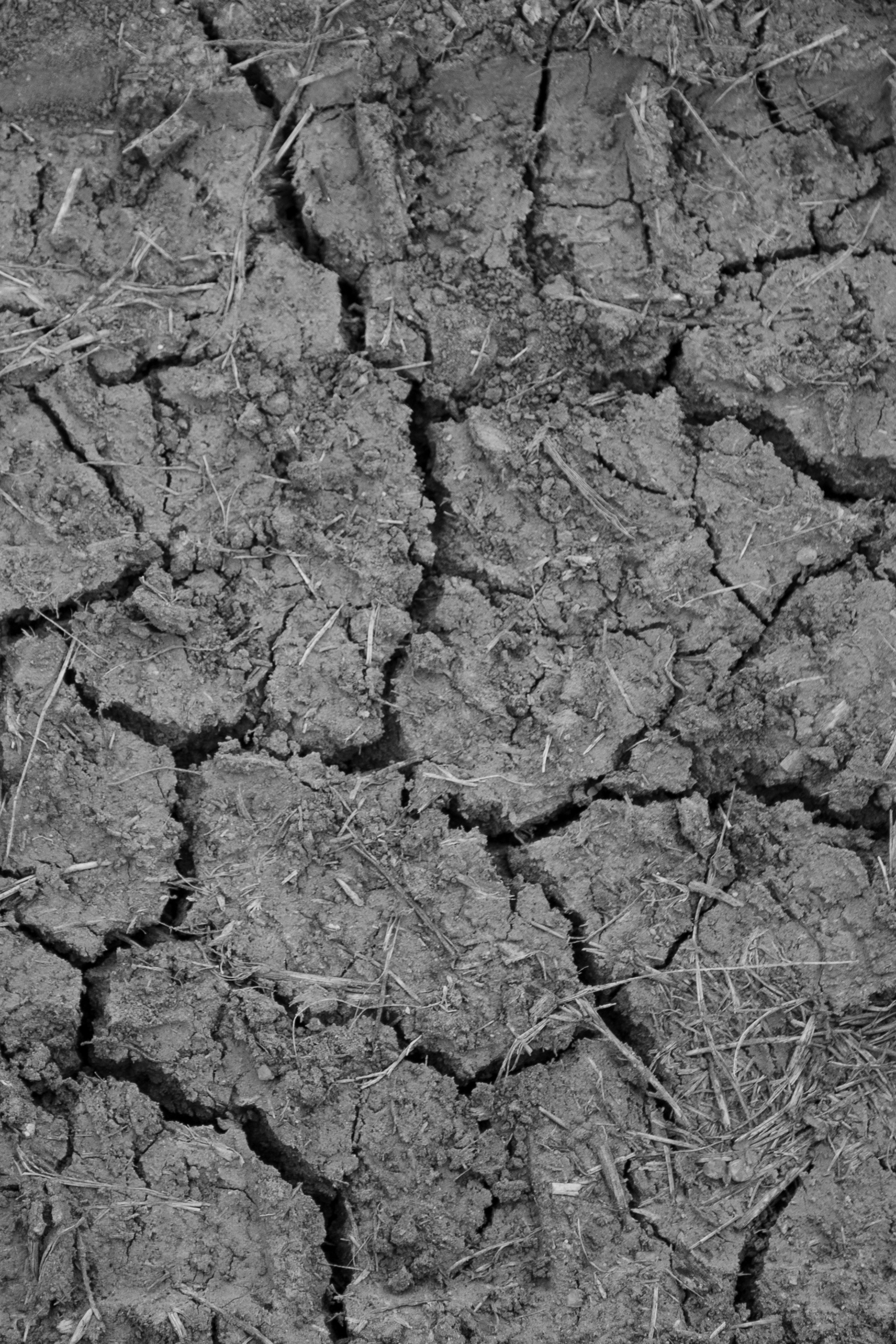 Texture as Primary Design