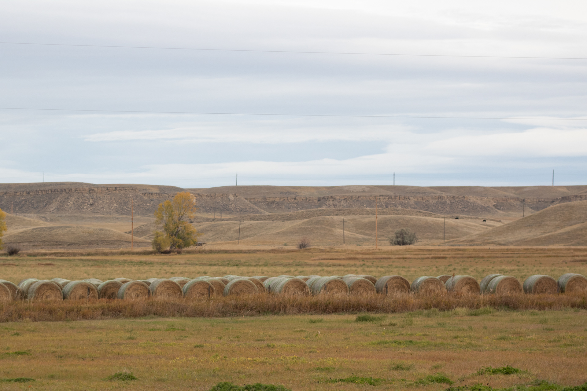 Smooth Lines that Create Calm, Regular Rhythm