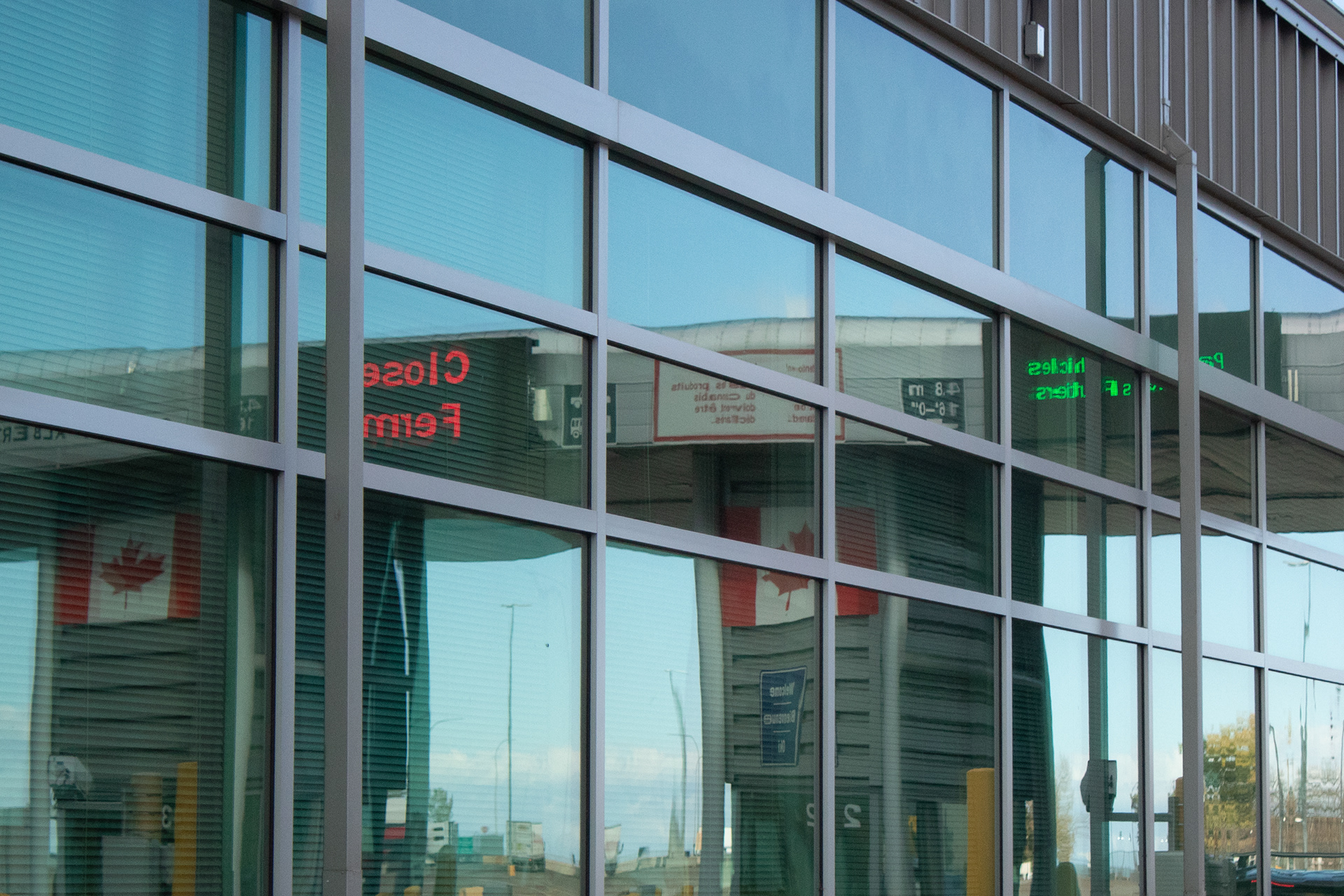 Smooth Texture Dominating the Frame